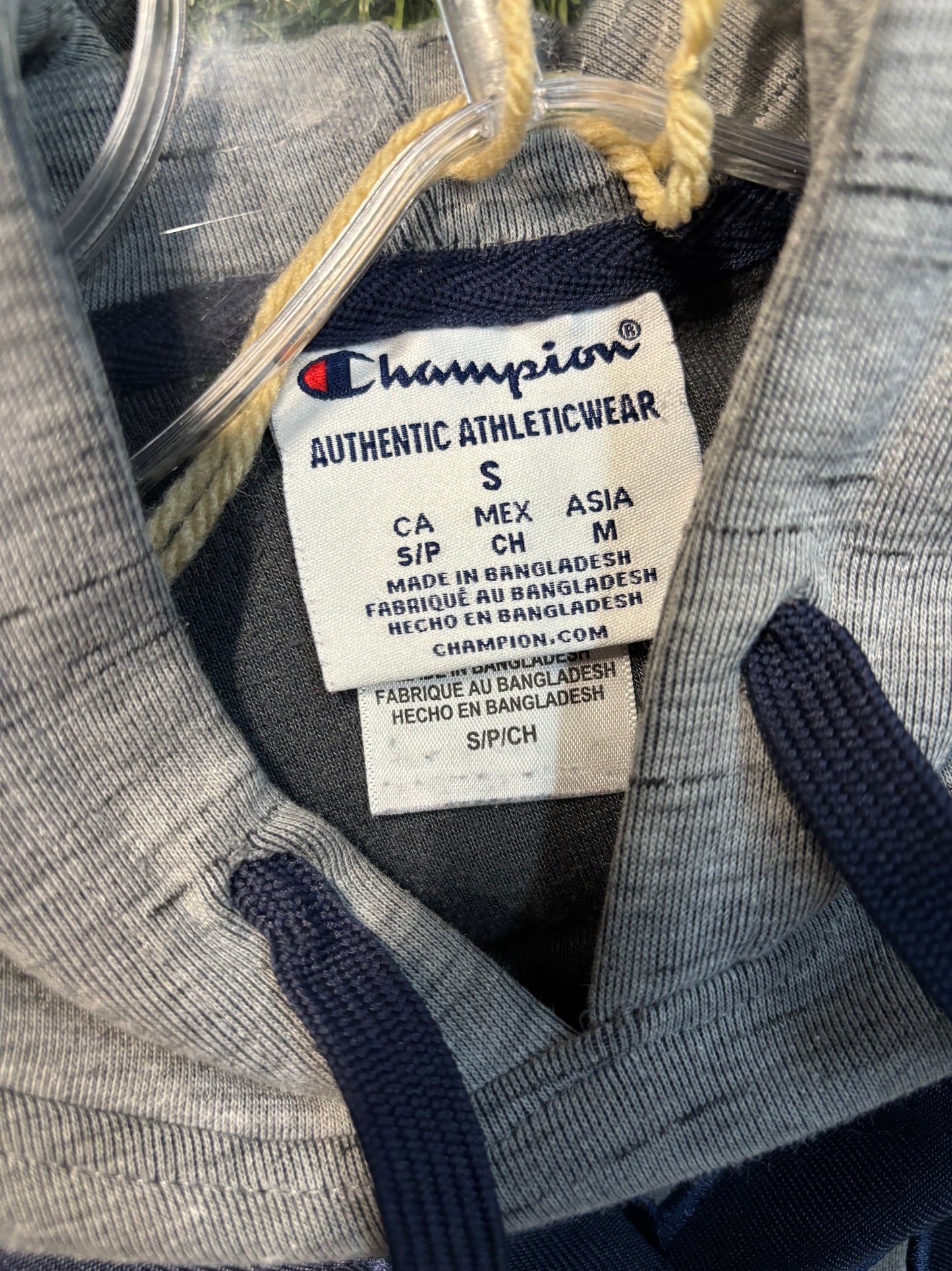 New Age Champion Michigan Hoodie