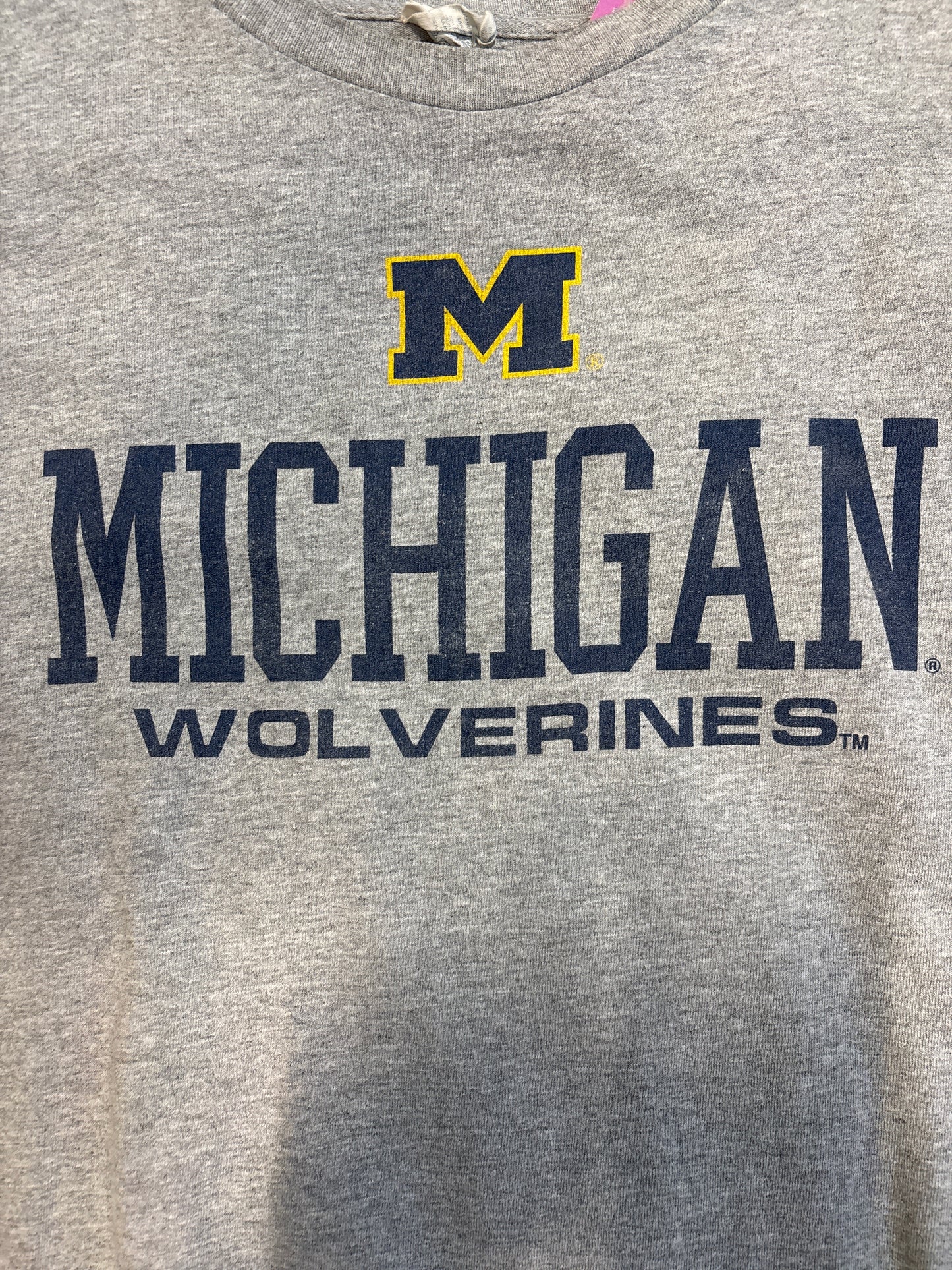 Michigan wolverines