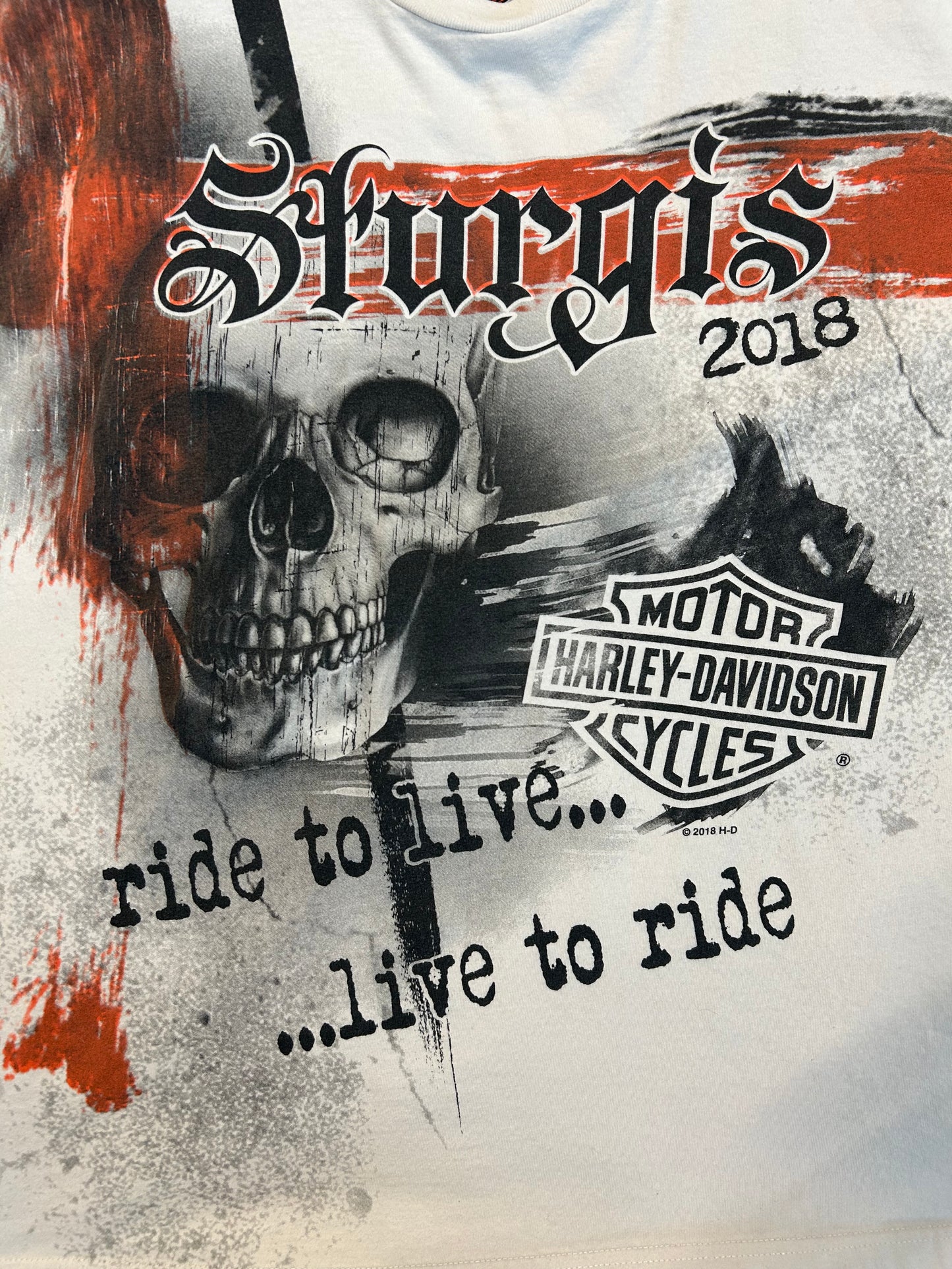2018 Sturgis Harley Davidson AOP Tee
