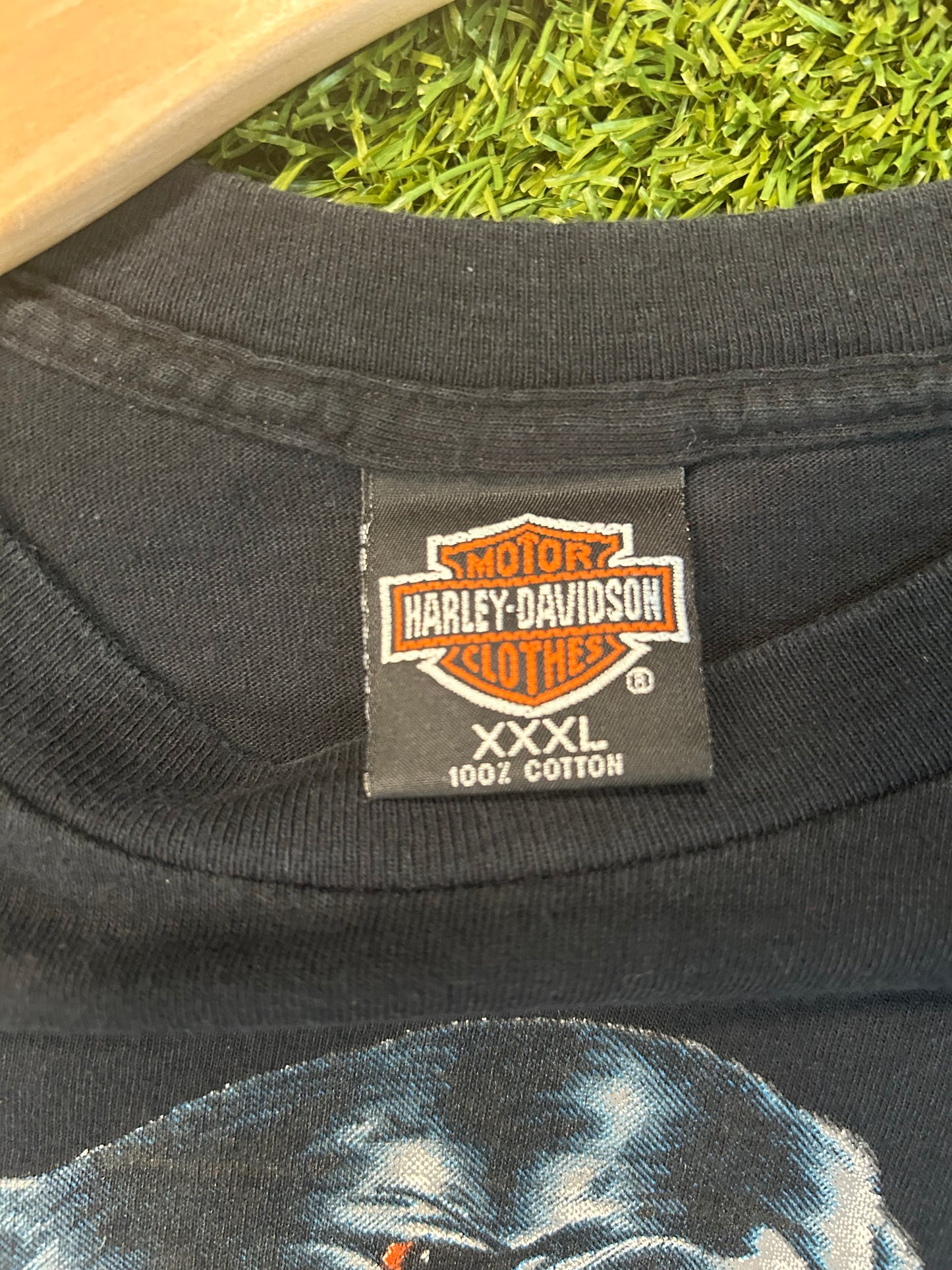 Vintage 1993 Can’t Chain The Power Harley Davidson Cropped Tee