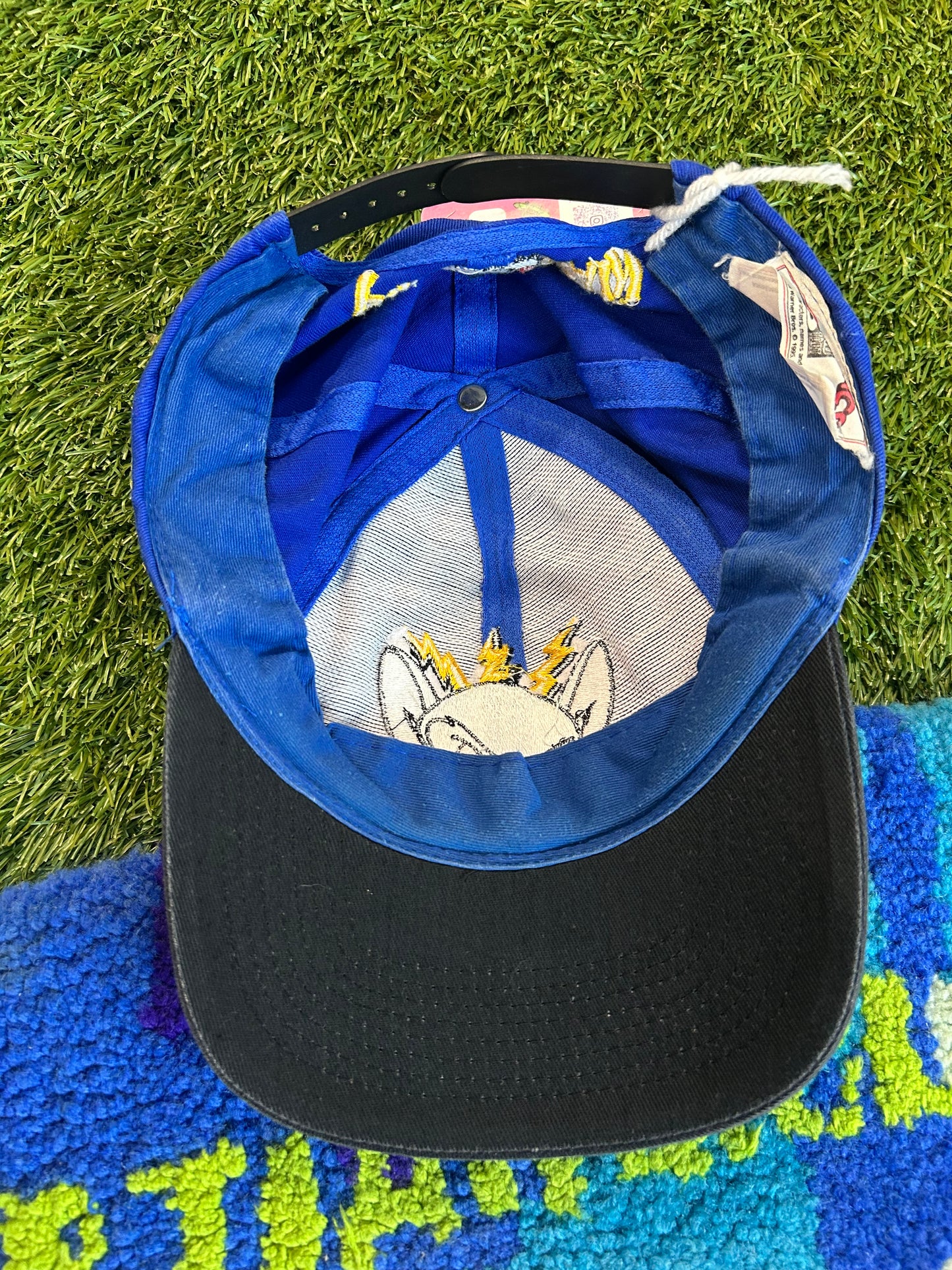 Vintage 1995 Animaniacs Pinky And The Brain Snapback