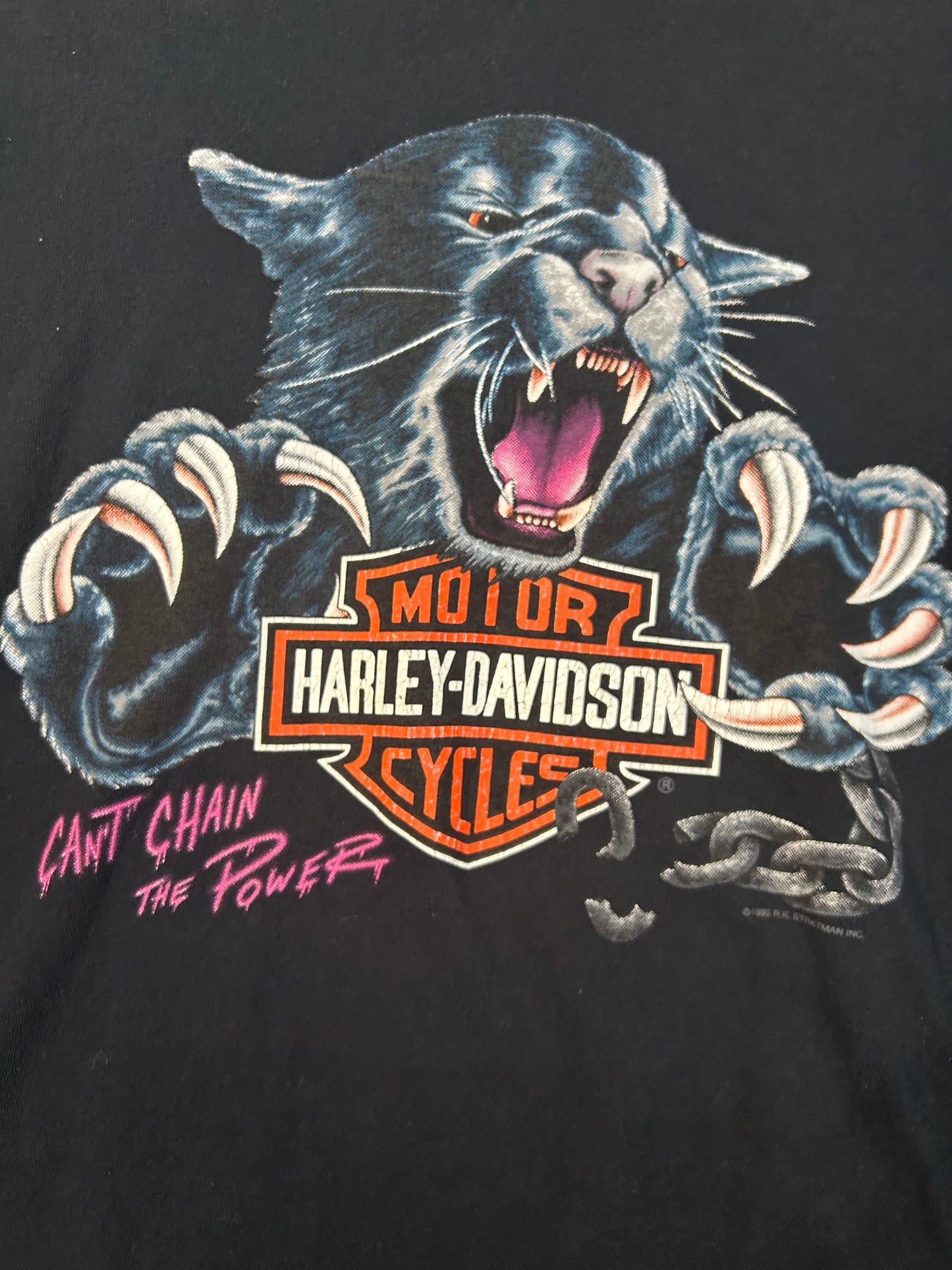 Vintage 1993 Can’t Chain The Power Harley Davidson Cropped Tee