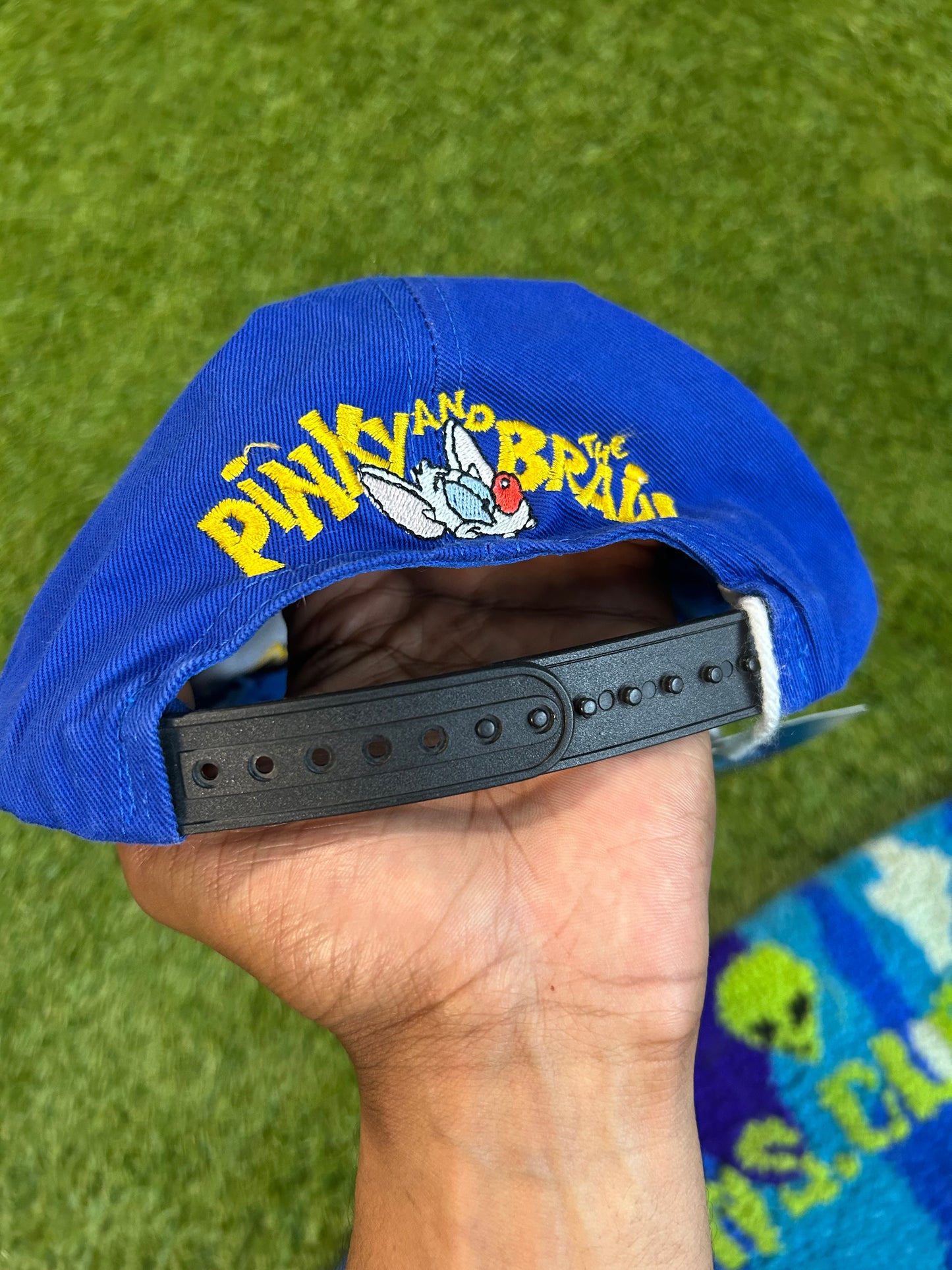 Vintage 1995 Animaniacs Pinky And The Brain Snapback
