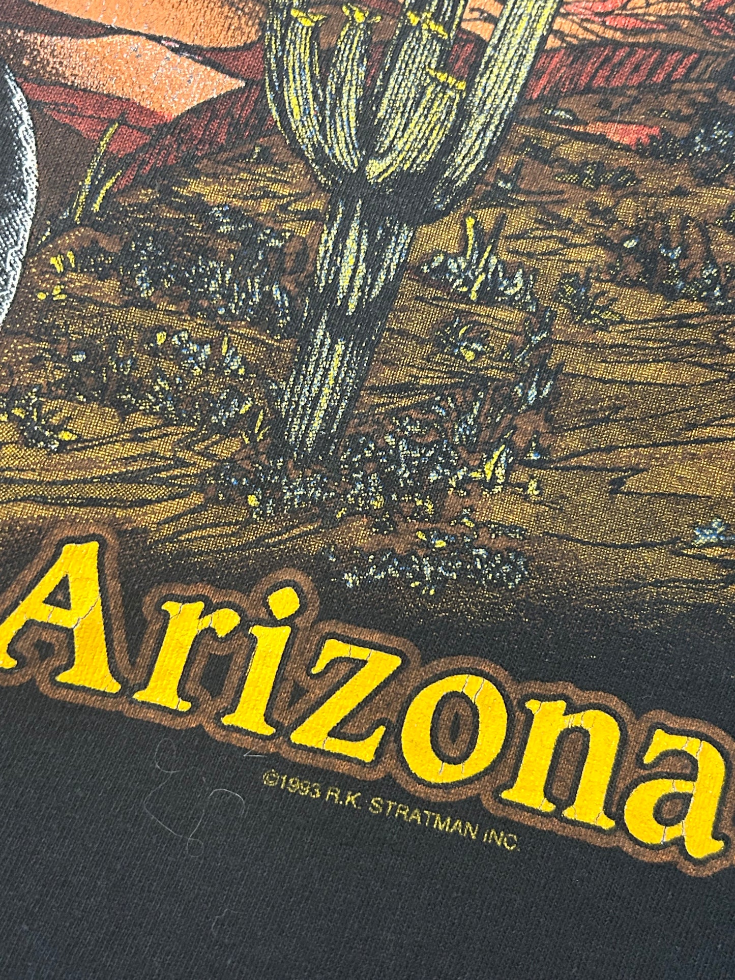 Vintage 1993 Can’t Chain The Power Harley Davidson Cropped Tee