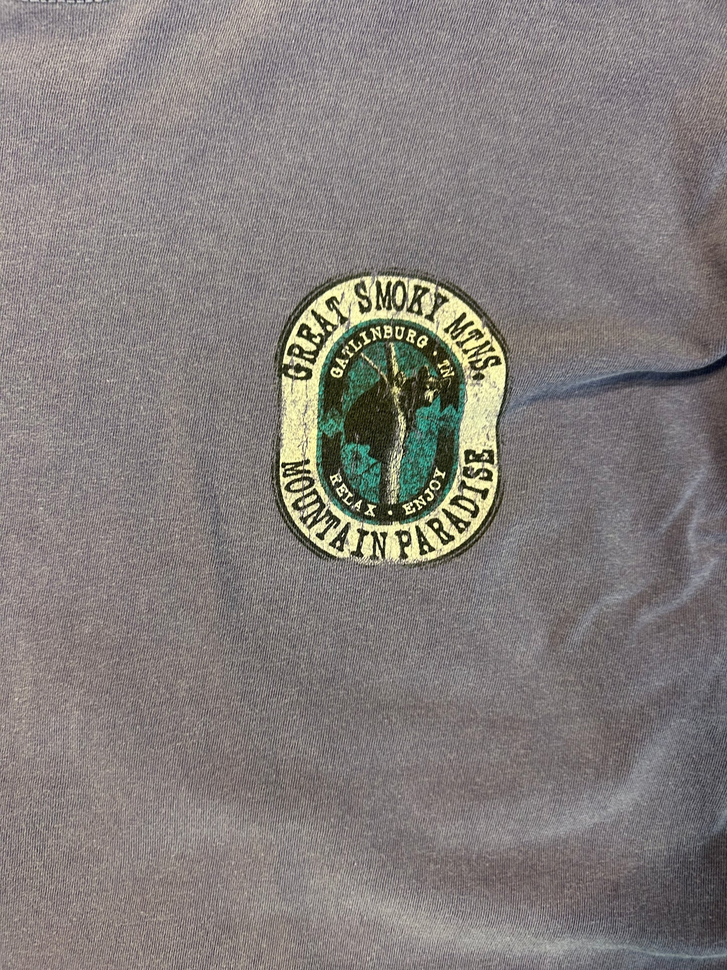 New Age Comfort Colors Great Smokey Mountains L/S