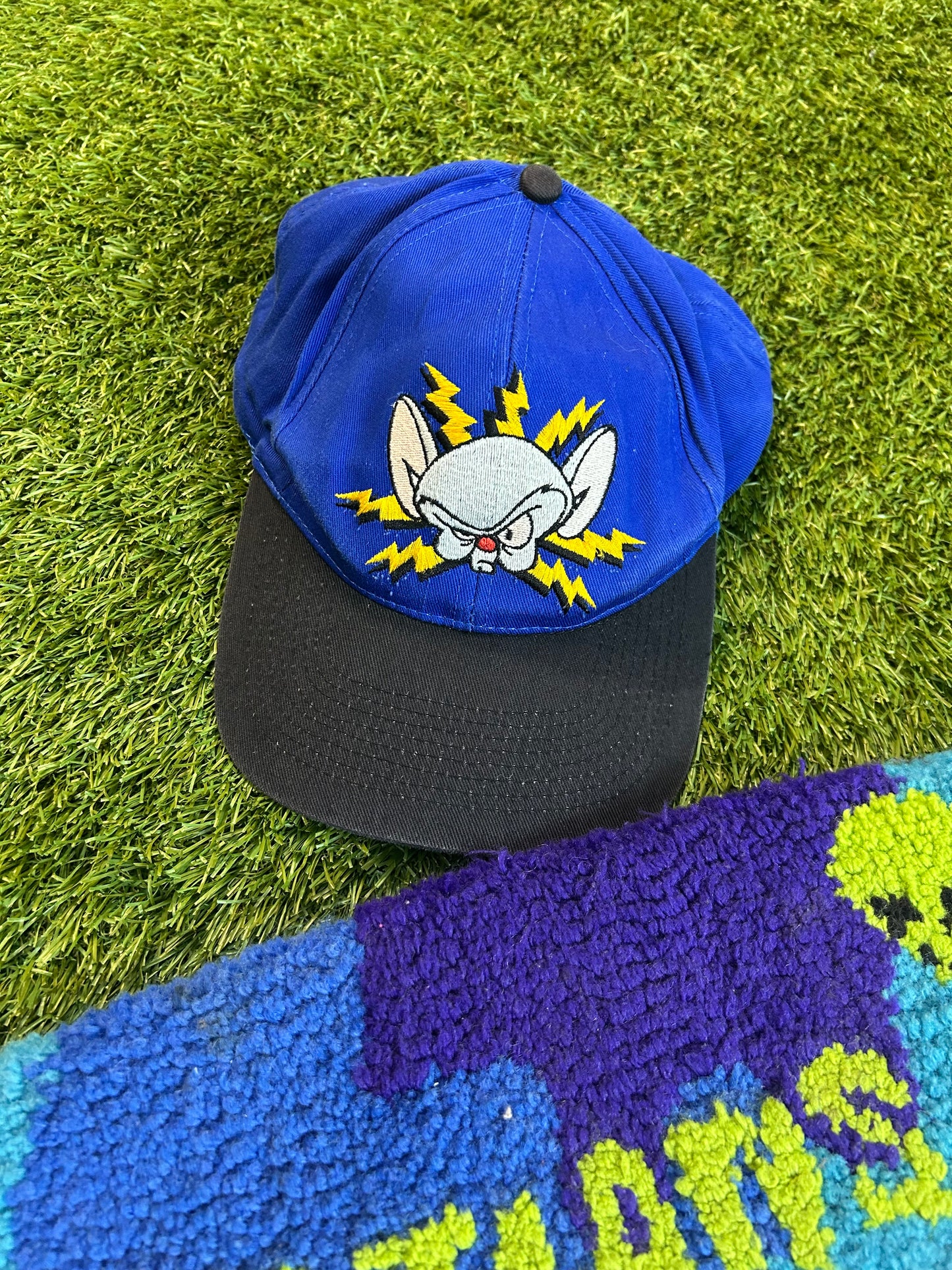 Vintage 1995 Animaniacs Pinky And The Brain Snapback