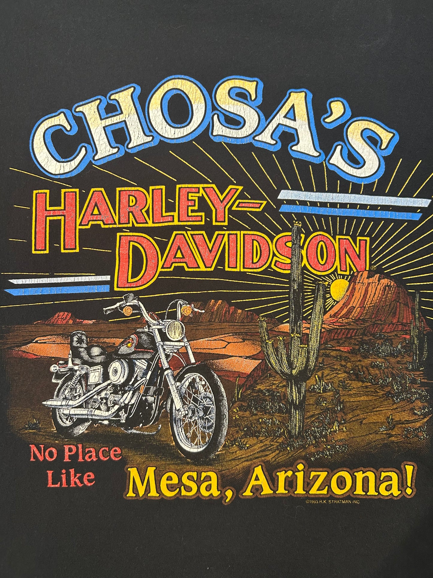Vintage 1993 Can’t Chain The Power Harley Davidson Cropped Tee
