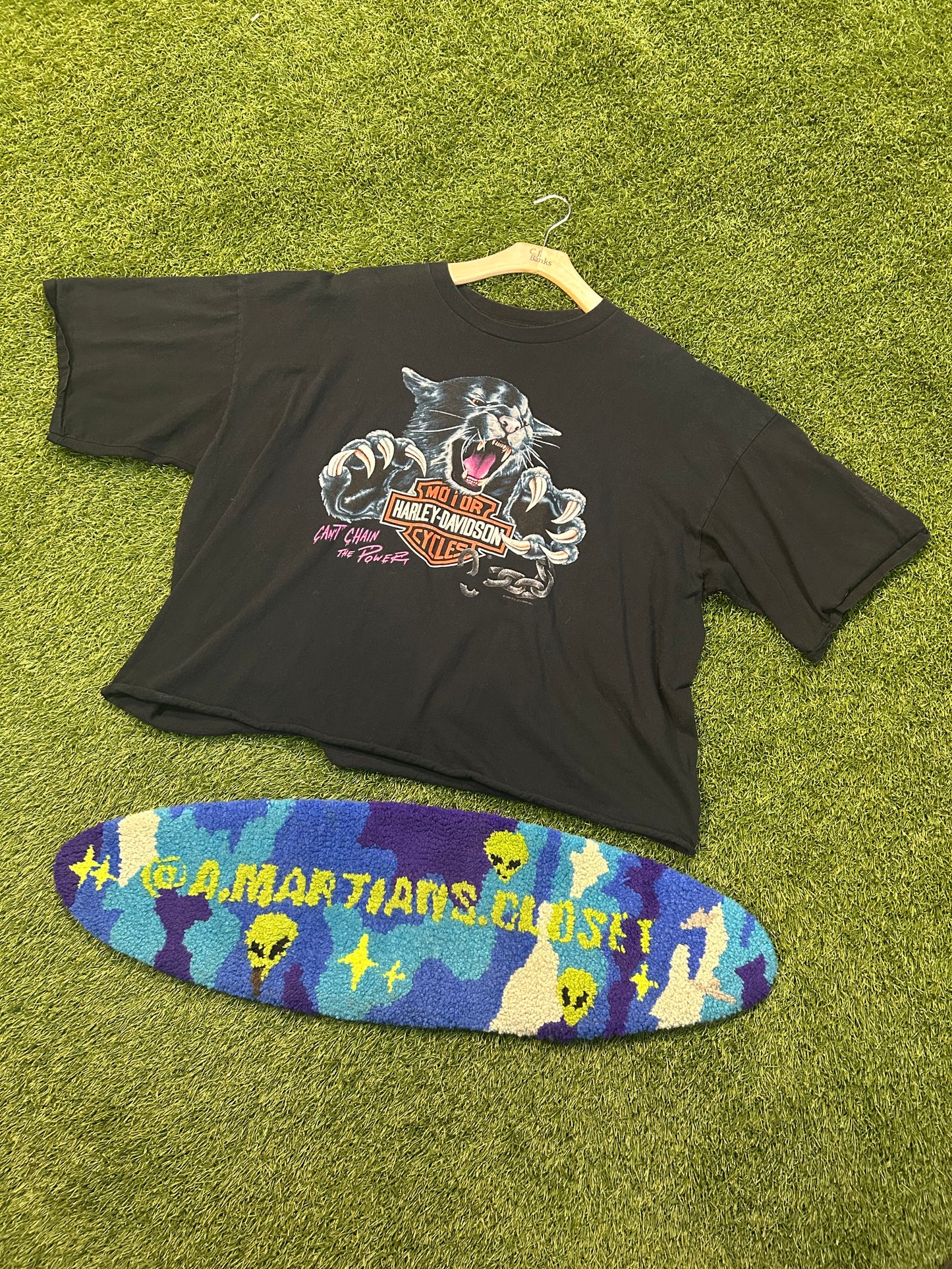 Vintage 1993 Can’t Chain The Power Harley Davidson Cropped Tee