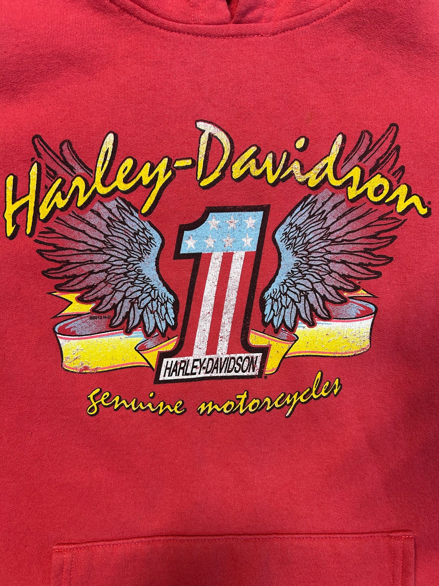 Vintage Women’s Harley Davidson Hoodie