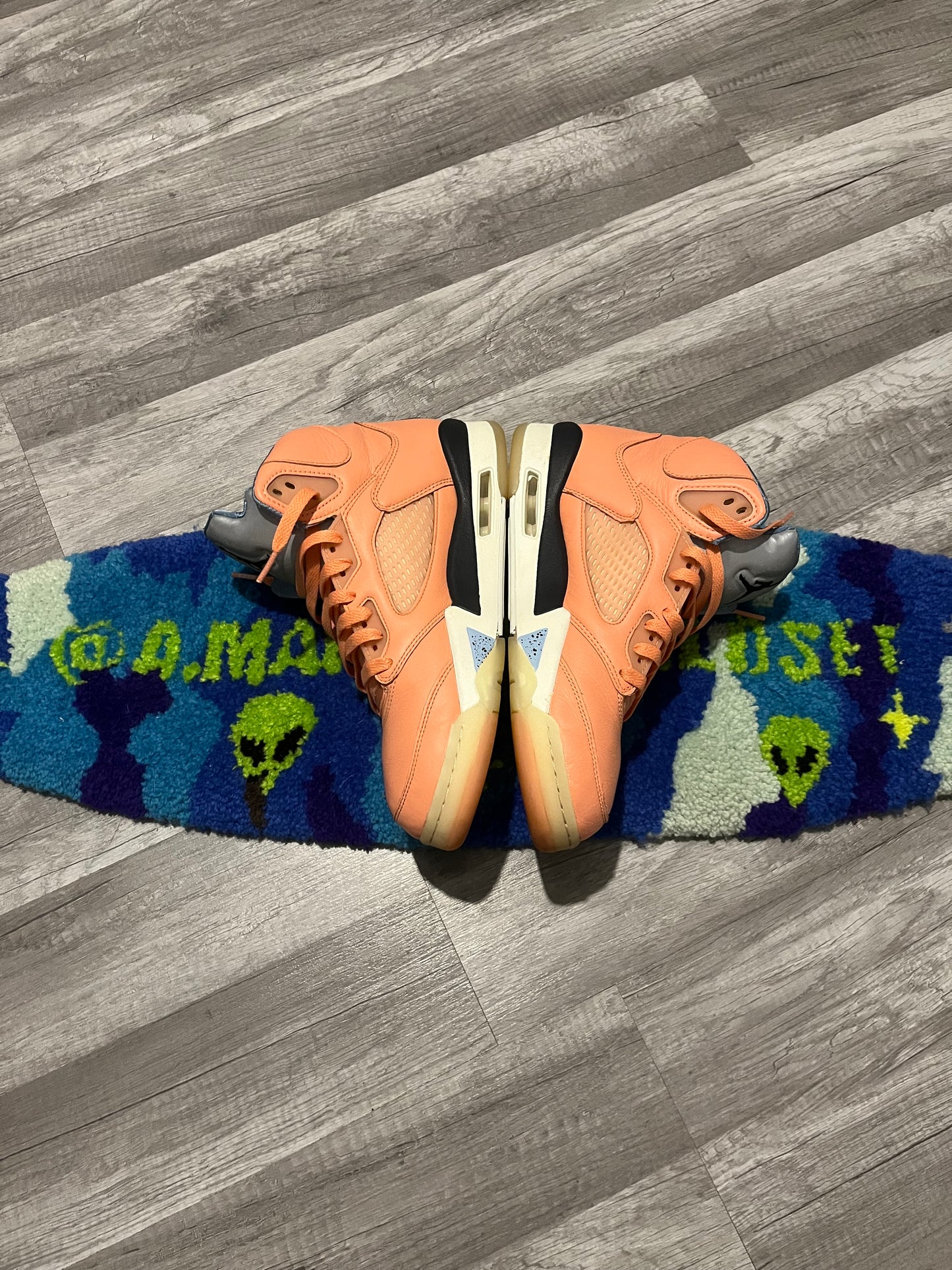 Jordan x DJ Khaled Retro 5s We The Best