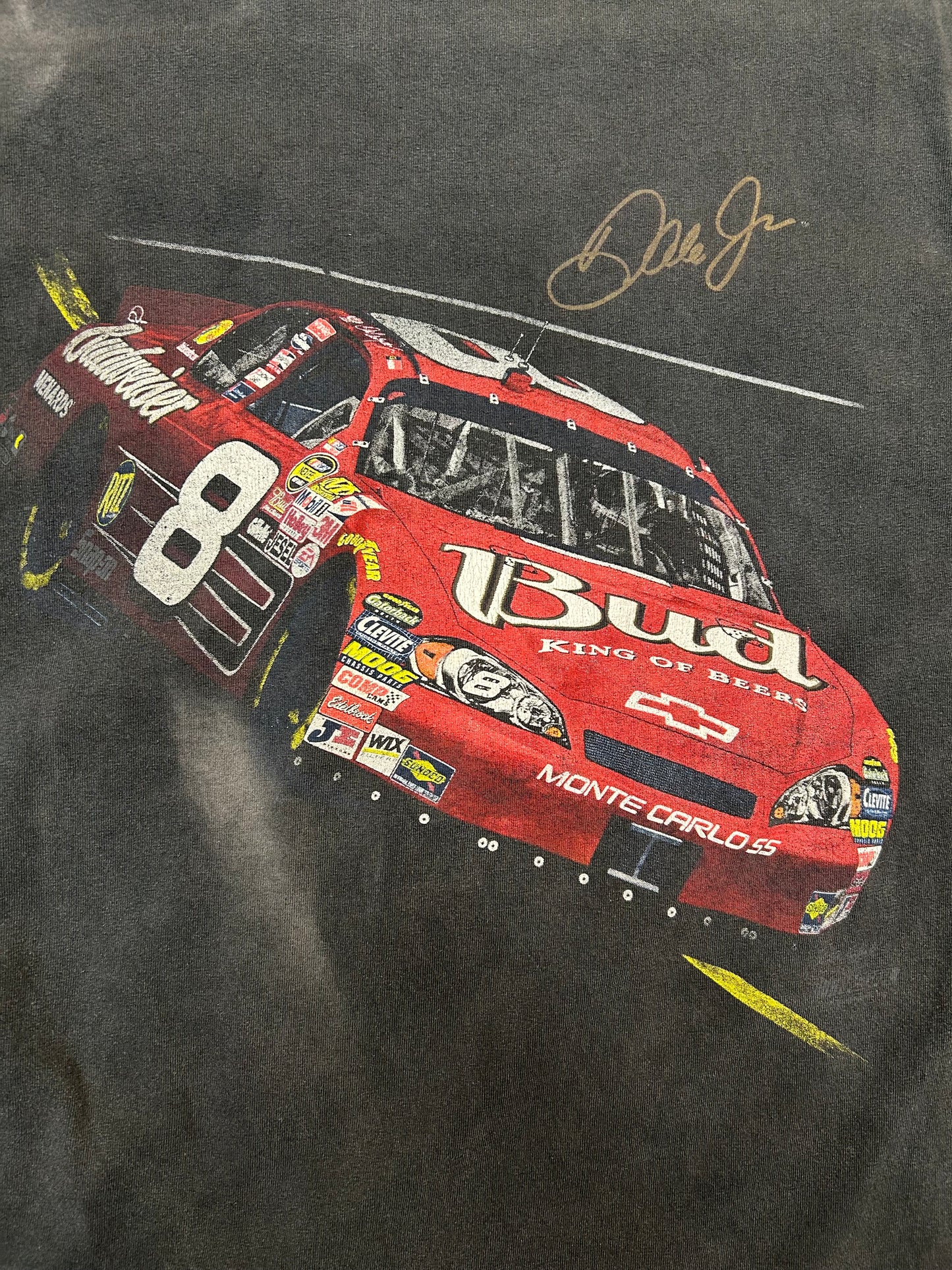 Vintage Dale Earnhardt Jr Thrashed Picture Graphic Tee