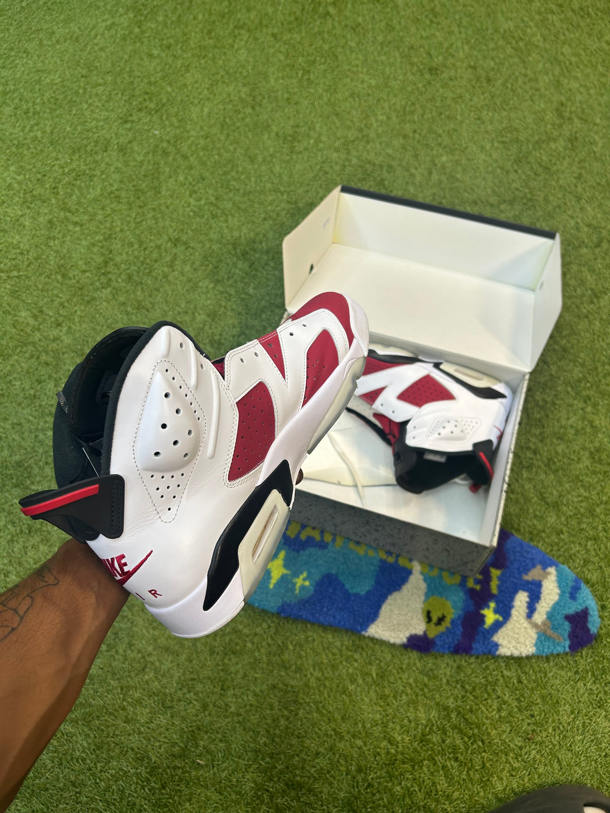 Retro Jordan 6 Carmine