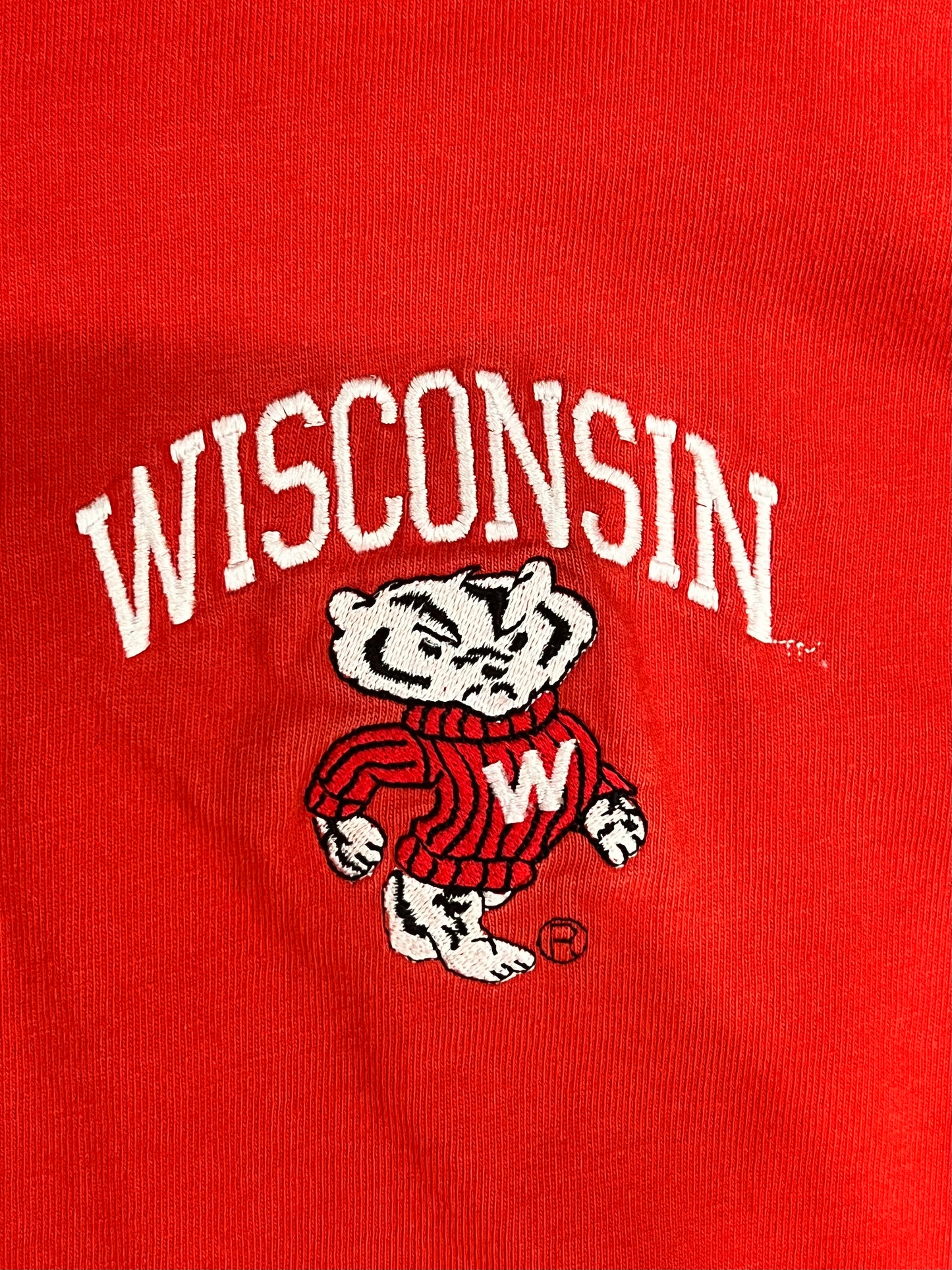 Vintage Champion “Wisconsin Badgers” Tee