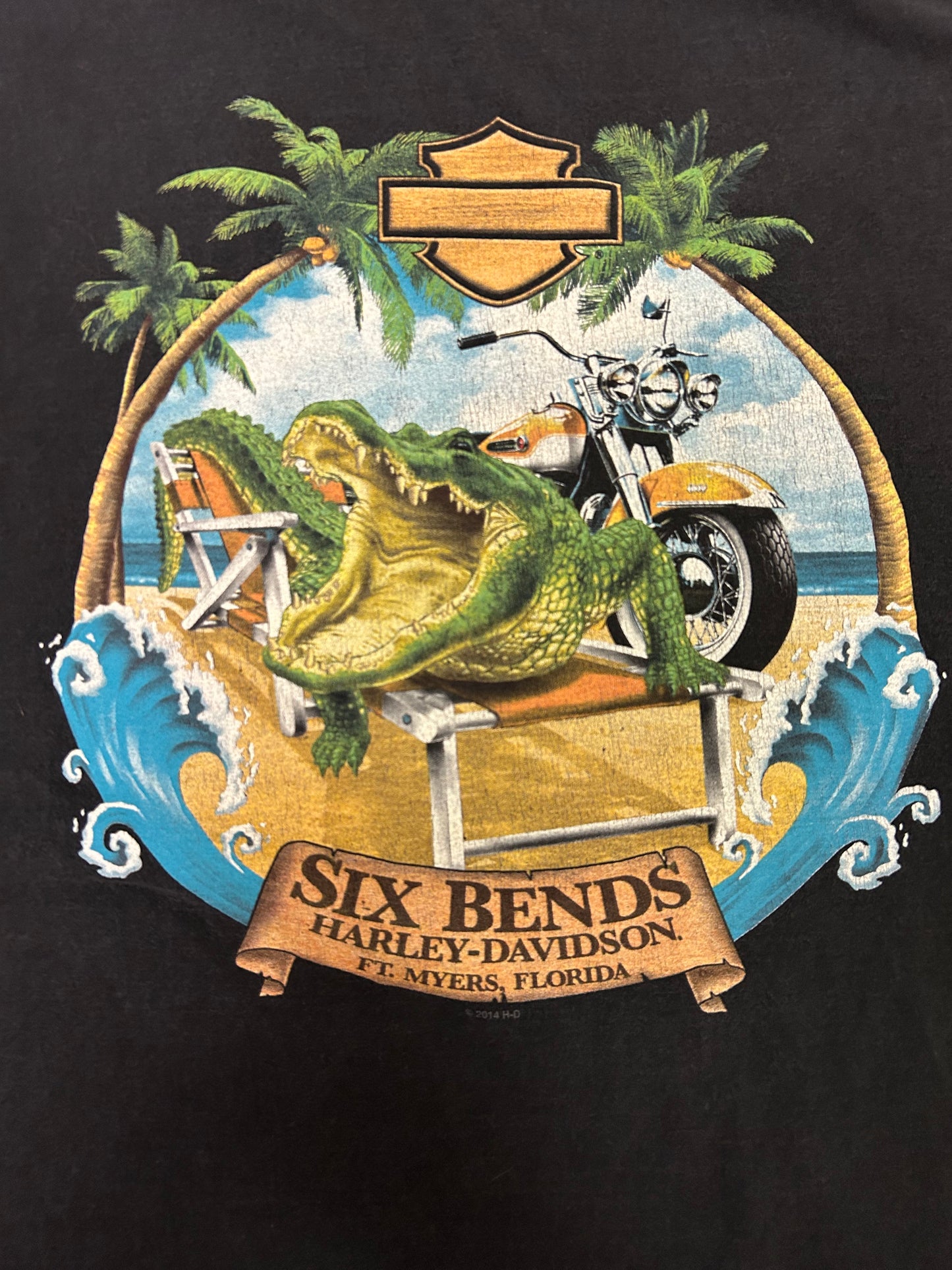 Retro Style 2015 Harley Davidson FT Myers Florida