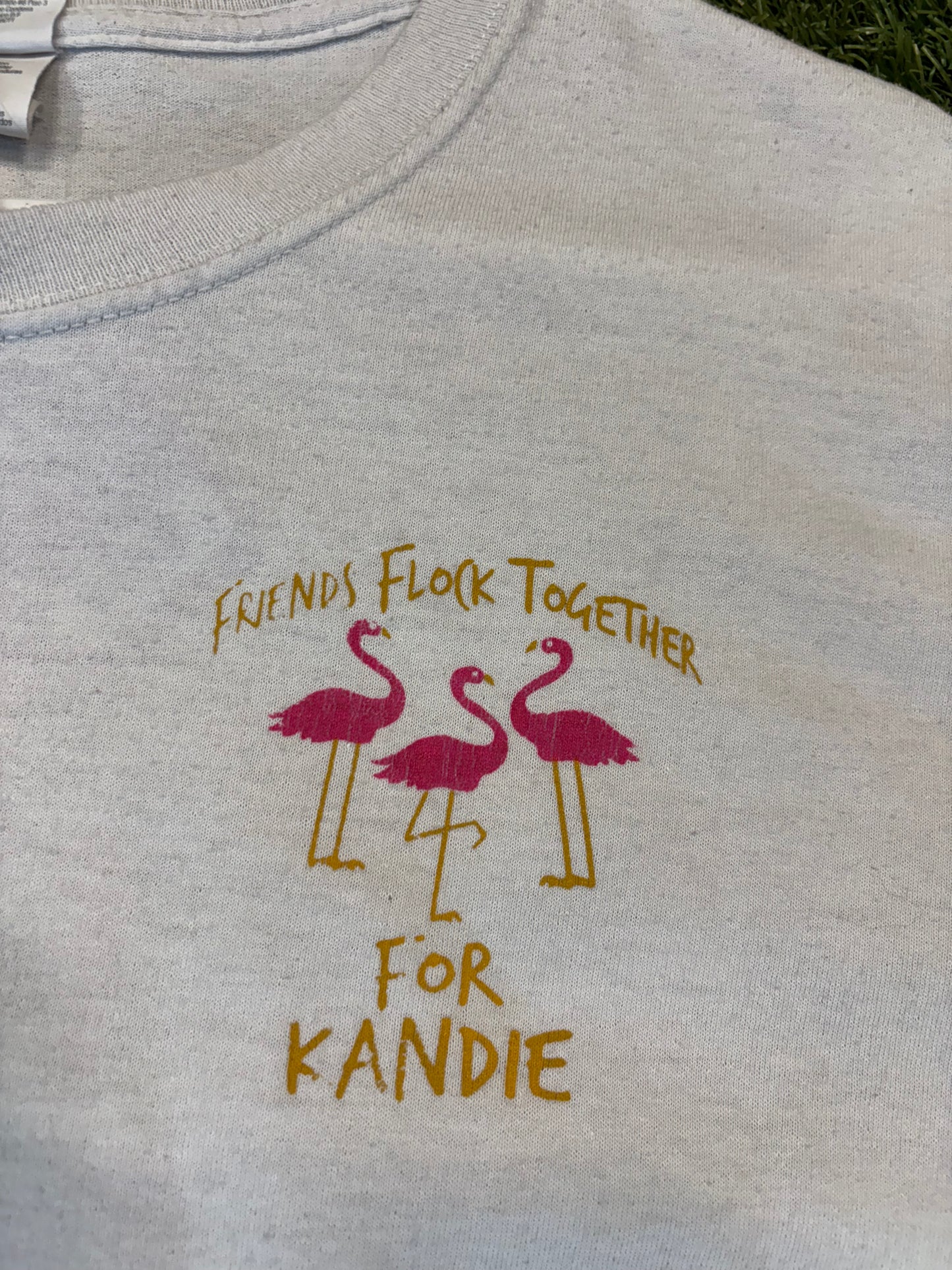 Friends Flock Together Kandie Bright Benefit Run Tee