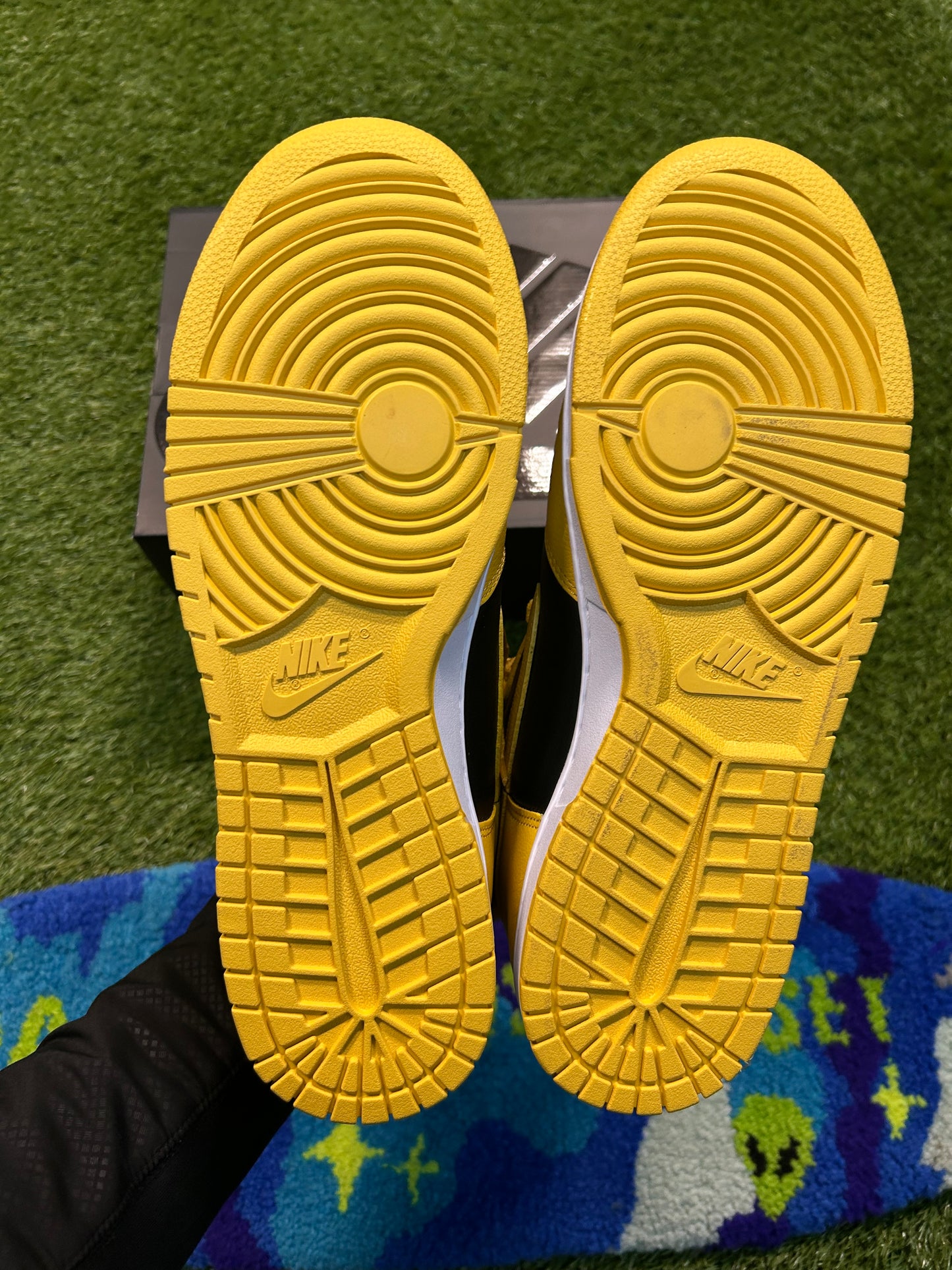 Nike Dunk High Wu-Tang