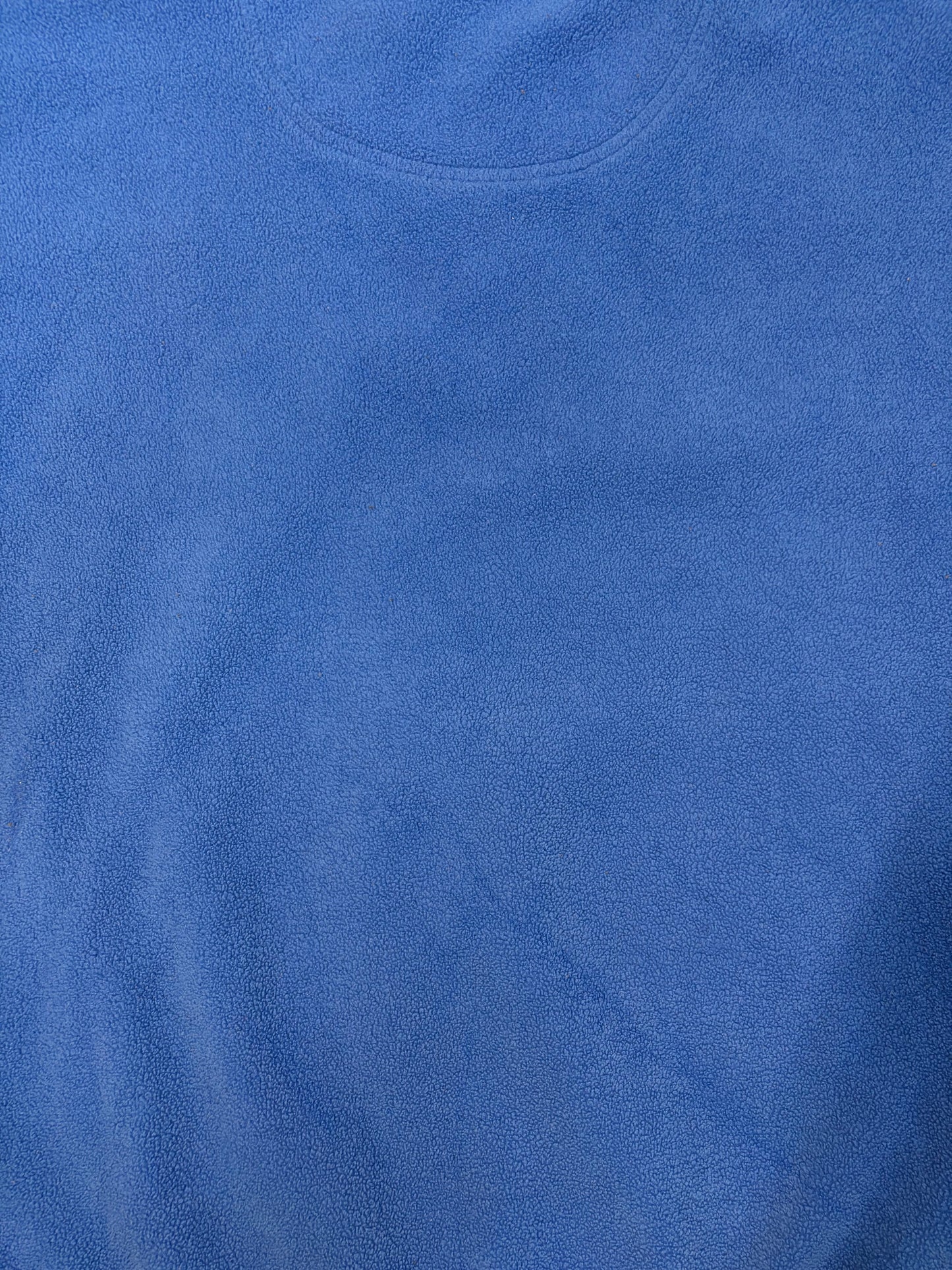 Vintage 1999 Detroit Lions Crewneck