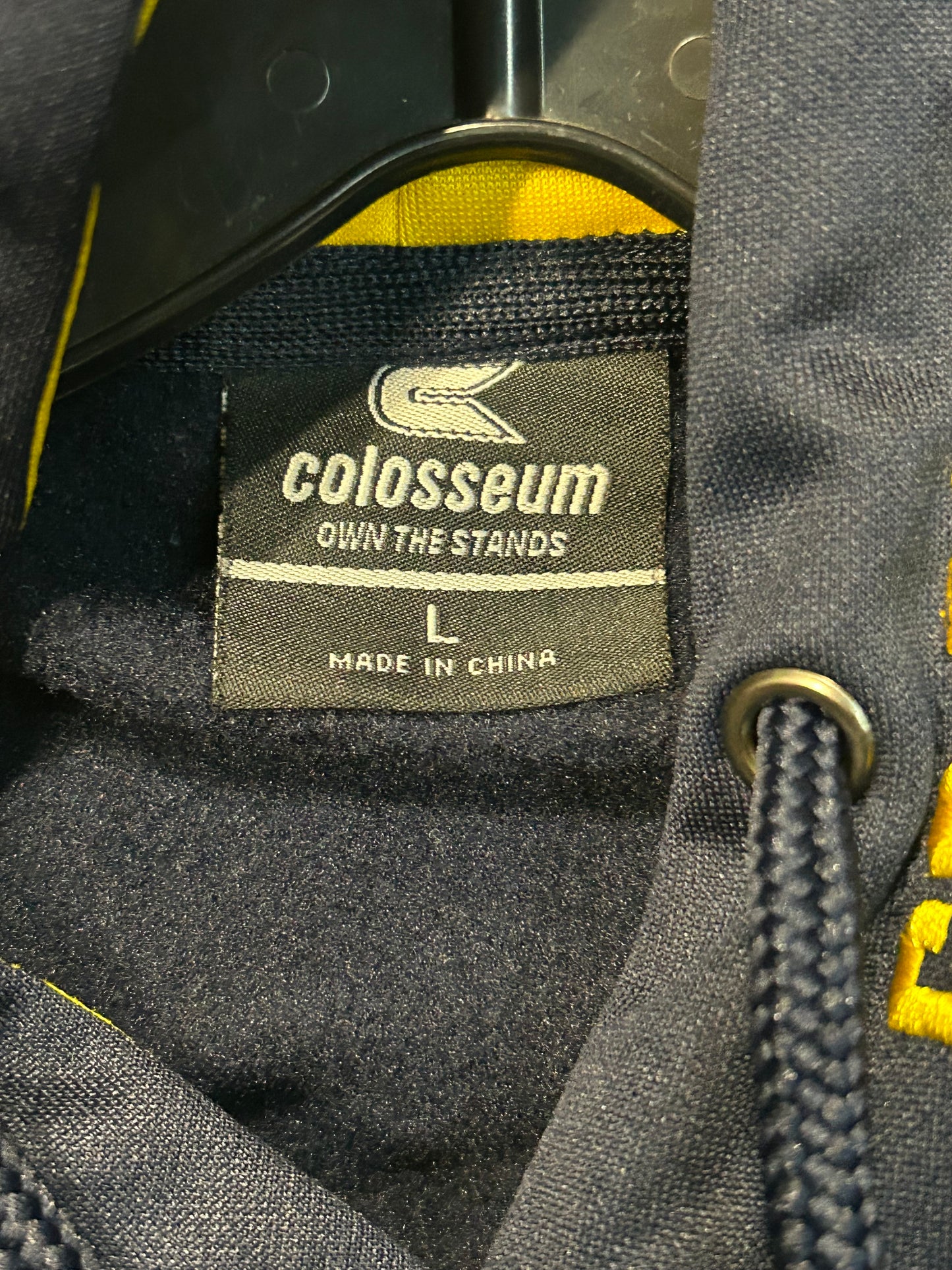 Y2K Michigan University Thermal Hoodie