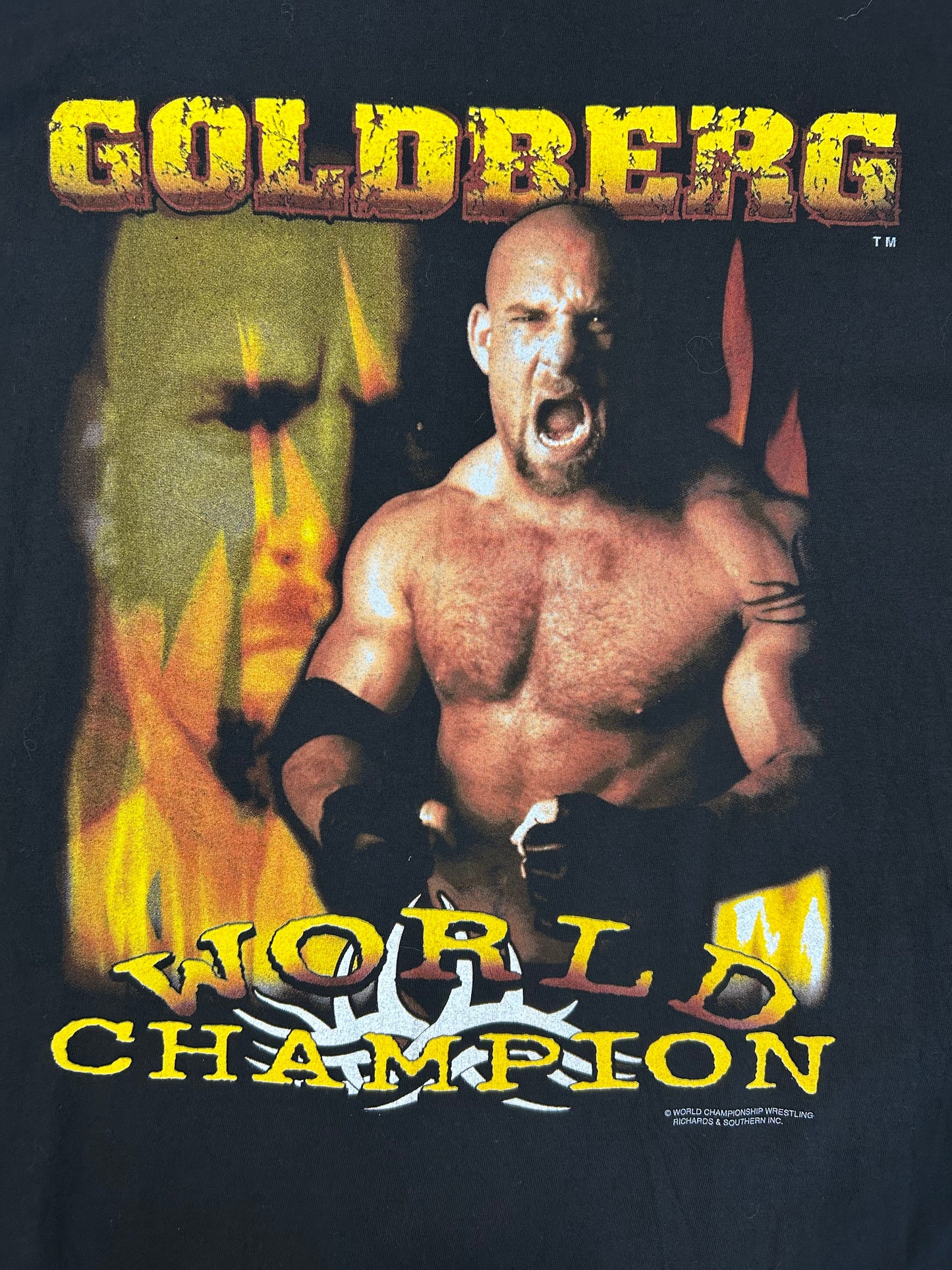 Vintage 90s Goldberg World Champion Tee
