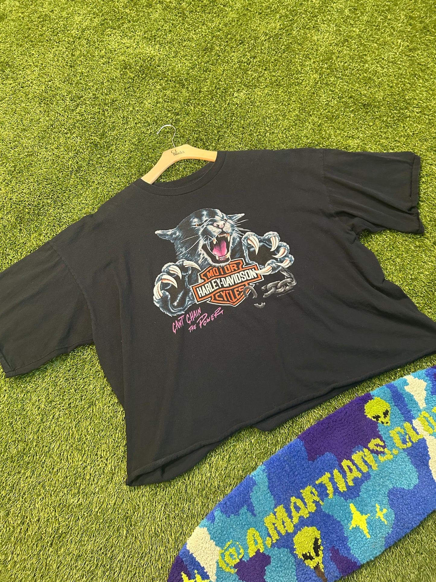 Vintage 1993 Can’t Chain The Power Harley Davidson Cropped Tee