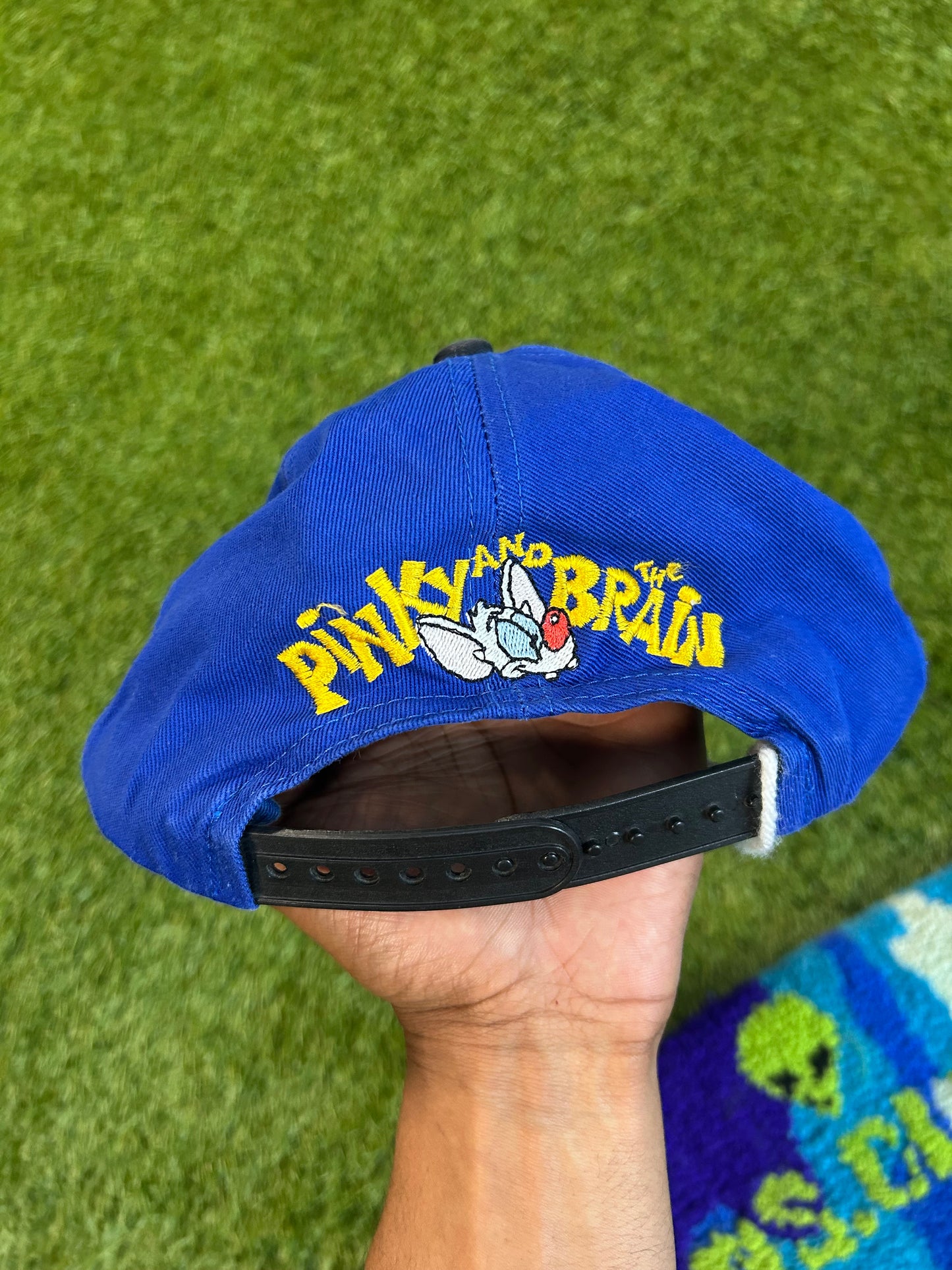 Vintage 1995 Animaniacs Pinky And The Brain Snapback