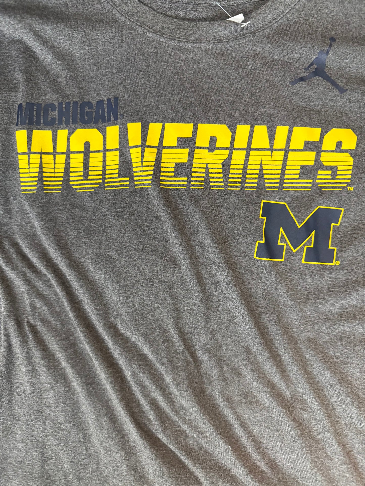 Jordan “Michigan Wolverines” L/S Tee