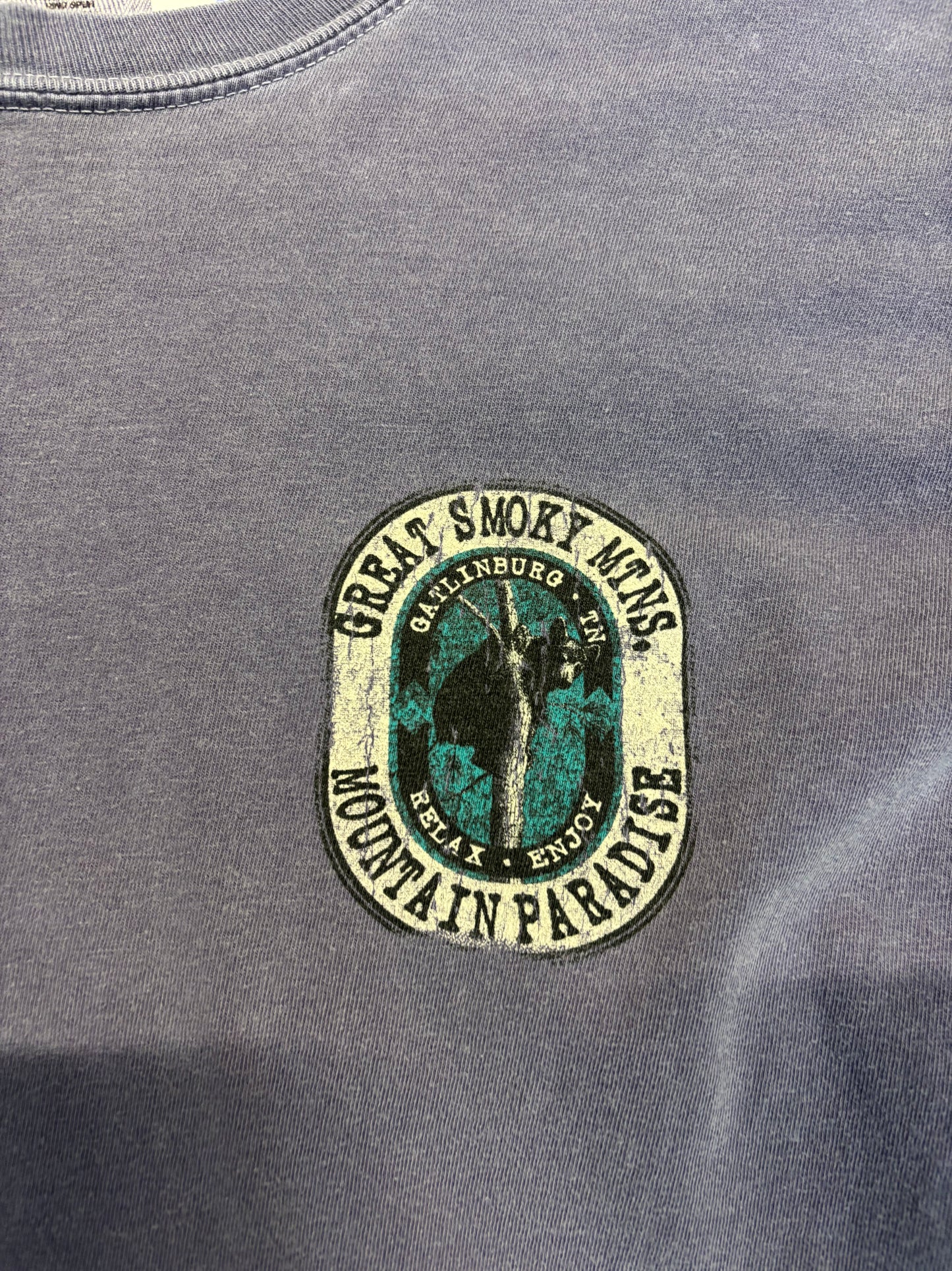 Y2K Great Smoky Mountains Long Sleeve Top