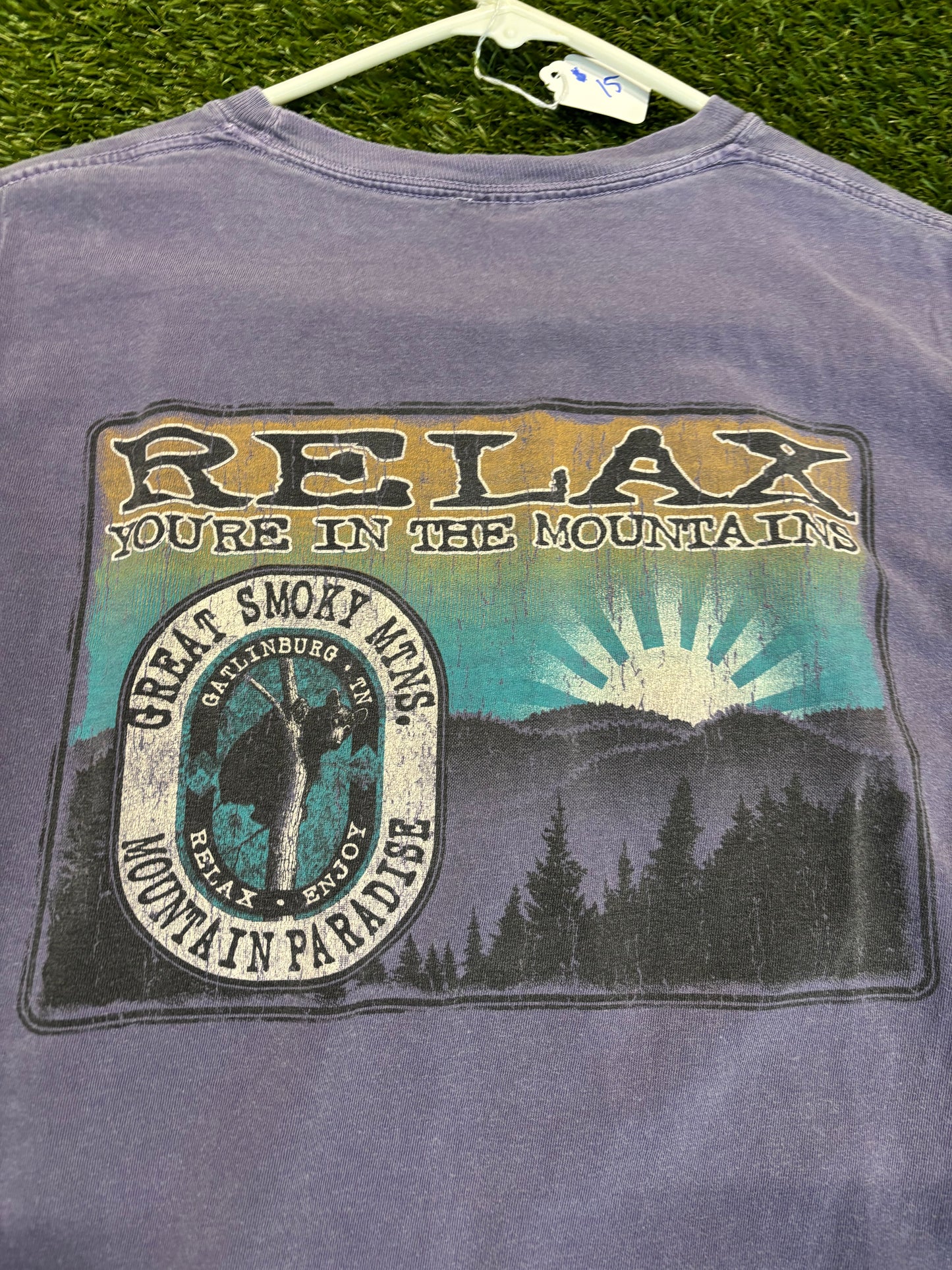 Y2K Great Smoky Mountains Long Sleeve Top