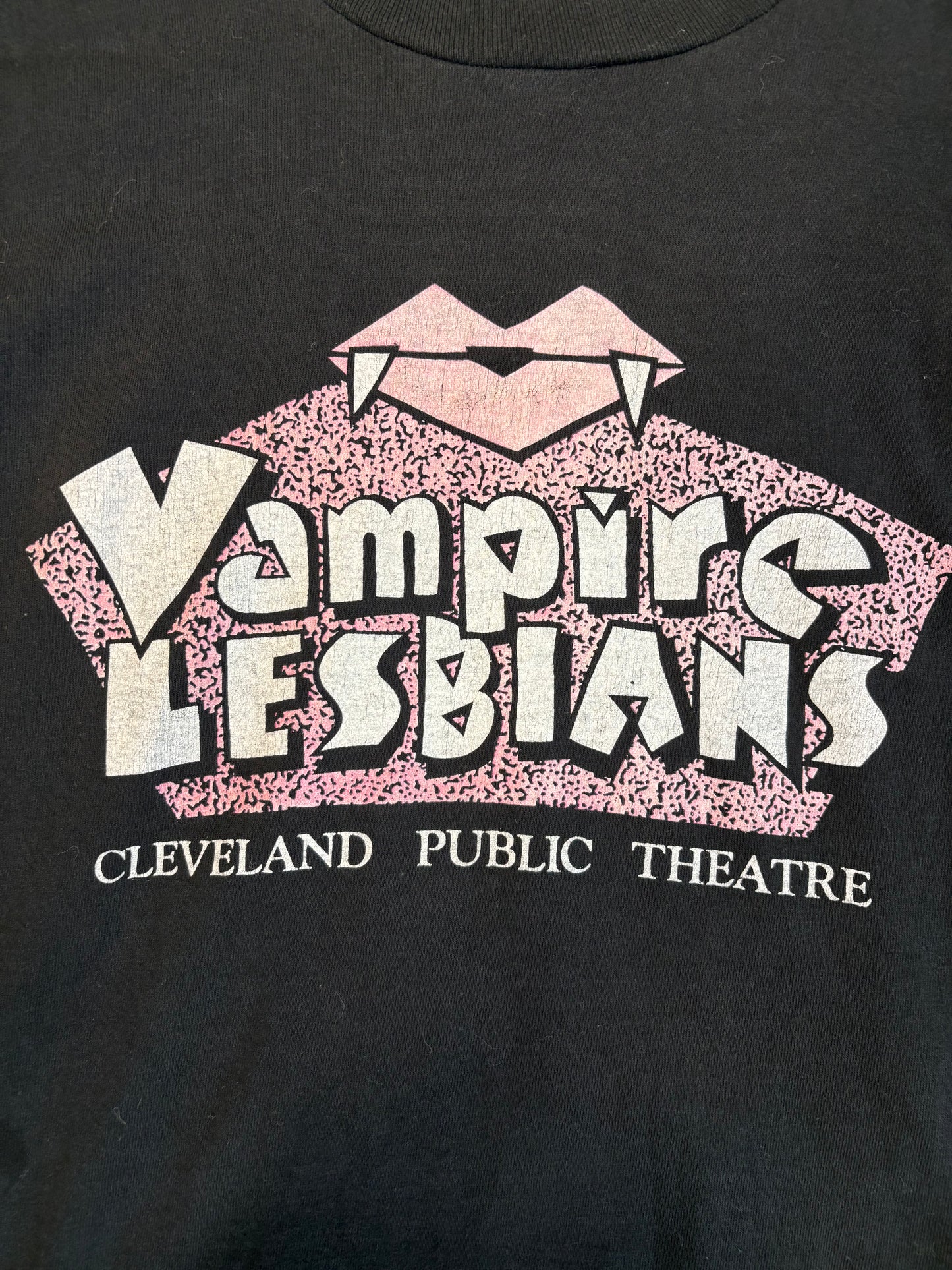 Vintage Vampire Lesbians Cleveland Public Theatre