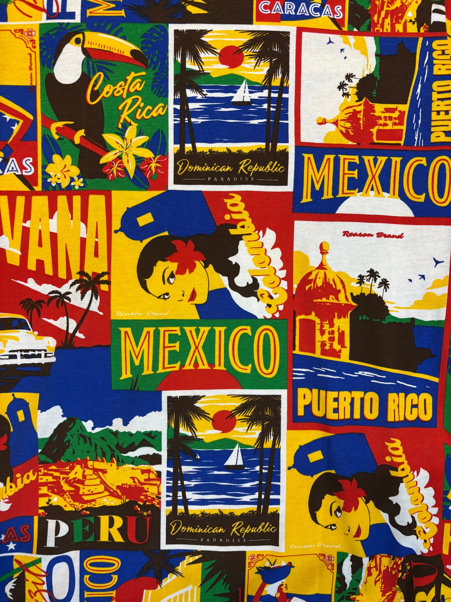 Reasons Hispanic Tile Tee