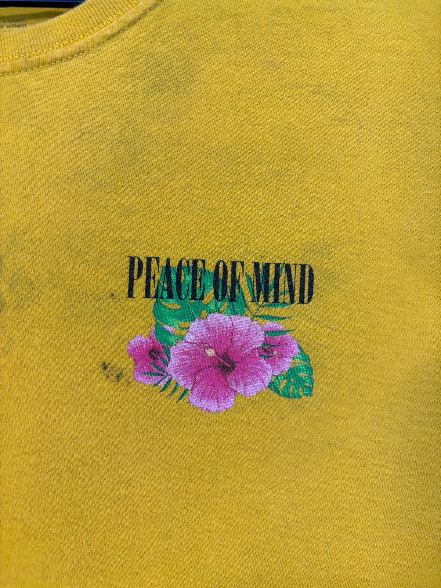 Pacsun Peace Of Mind Tee