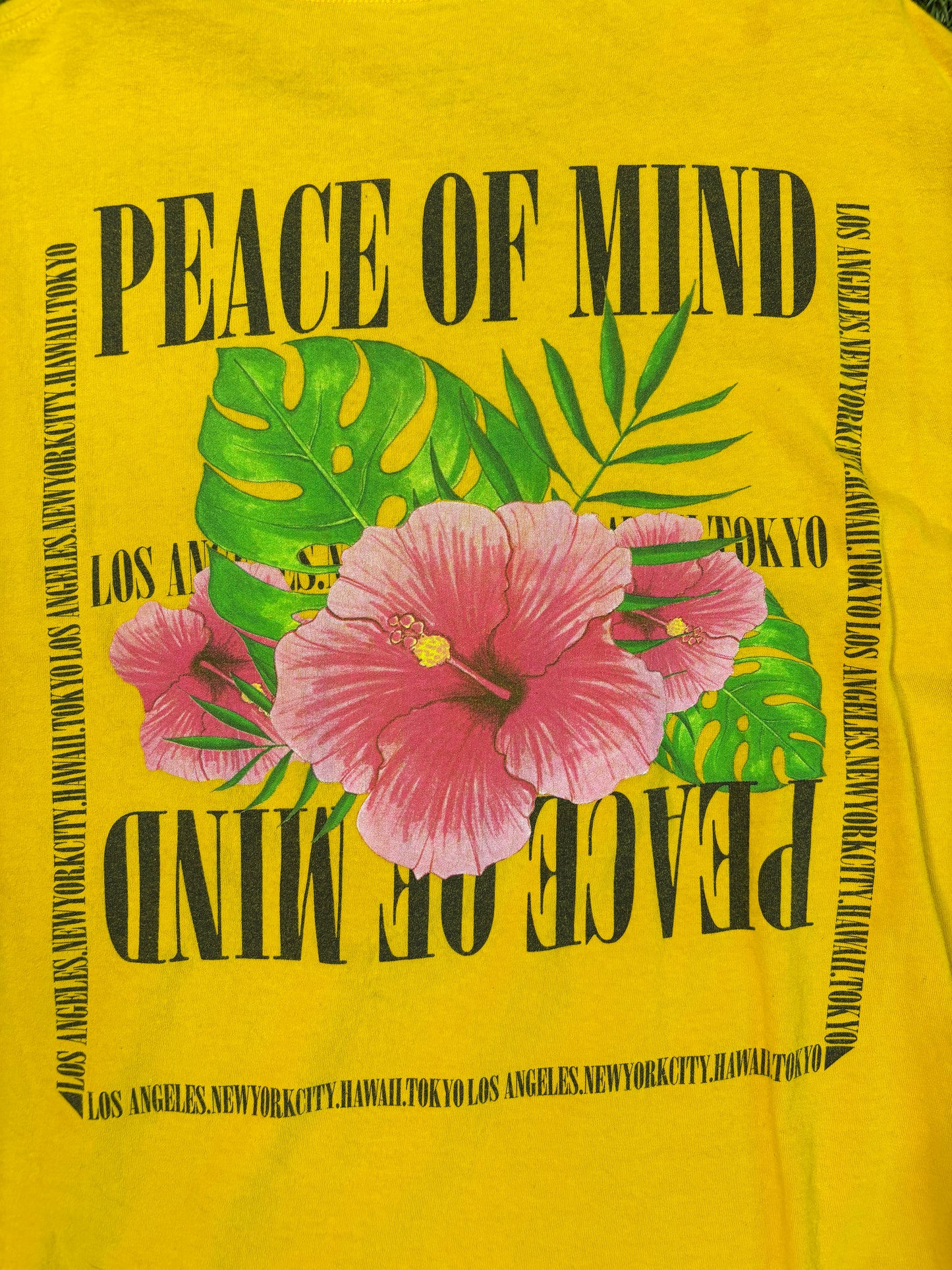 Pacsun Peace Of Mind Tee
