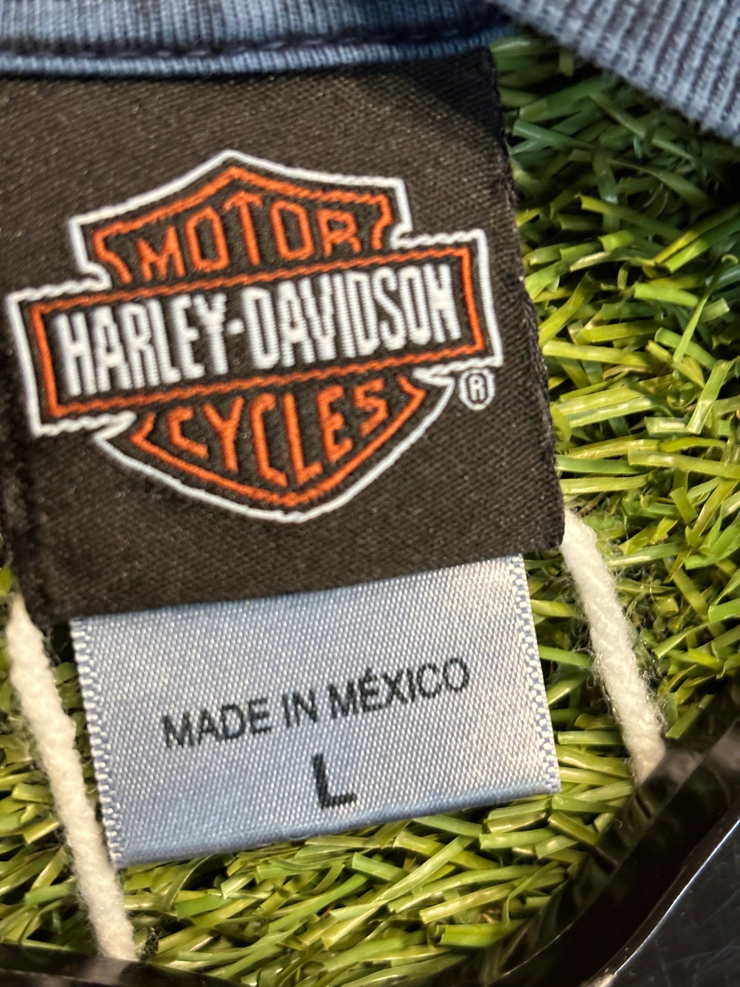 Harley Davidson Tallahassee “Don’t Get Bit”