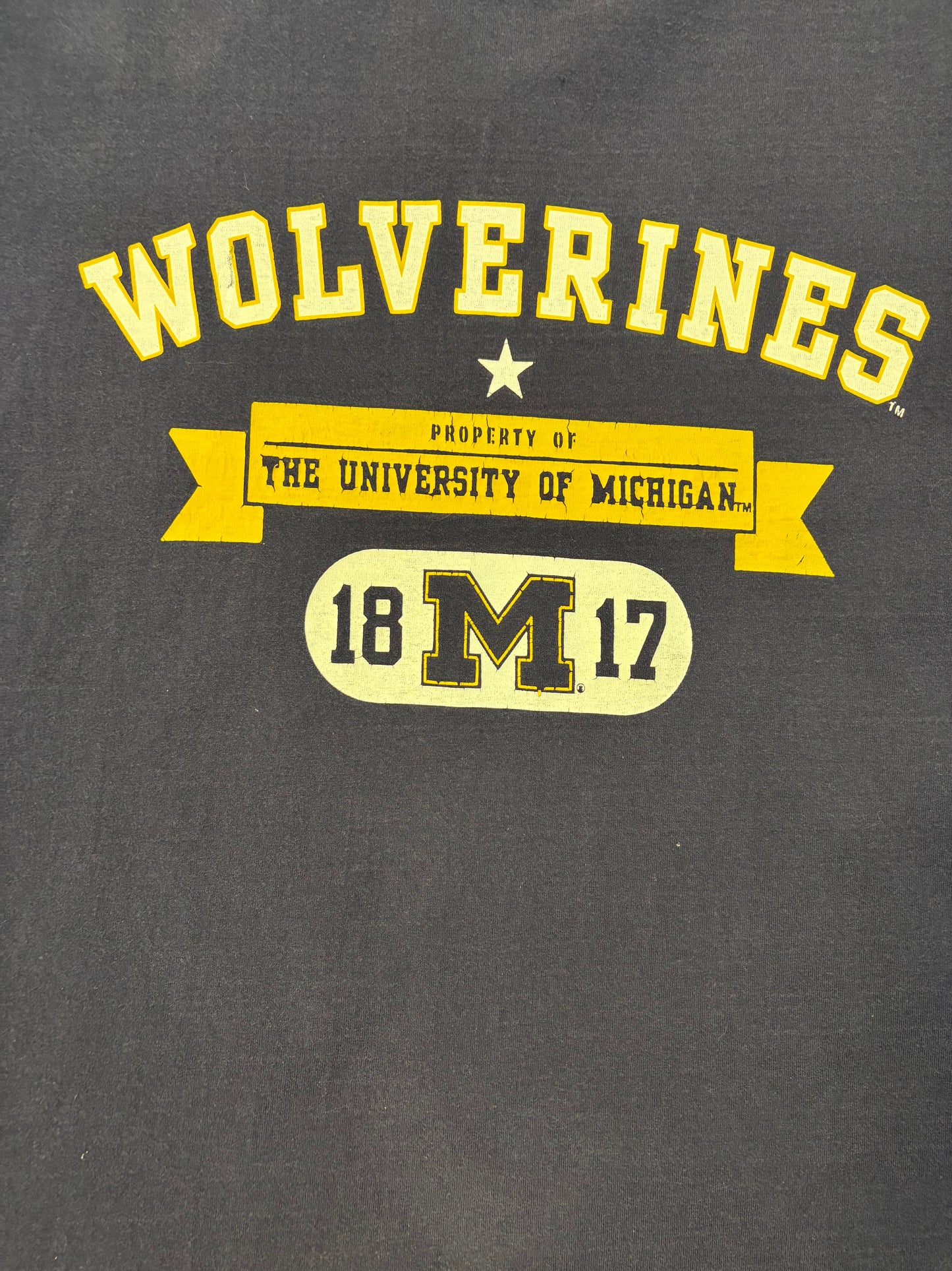 Y2K Starter The University Of Michigan Long Sleeve