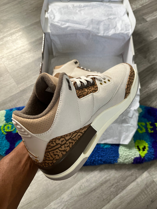 Jordan 3s Palomino