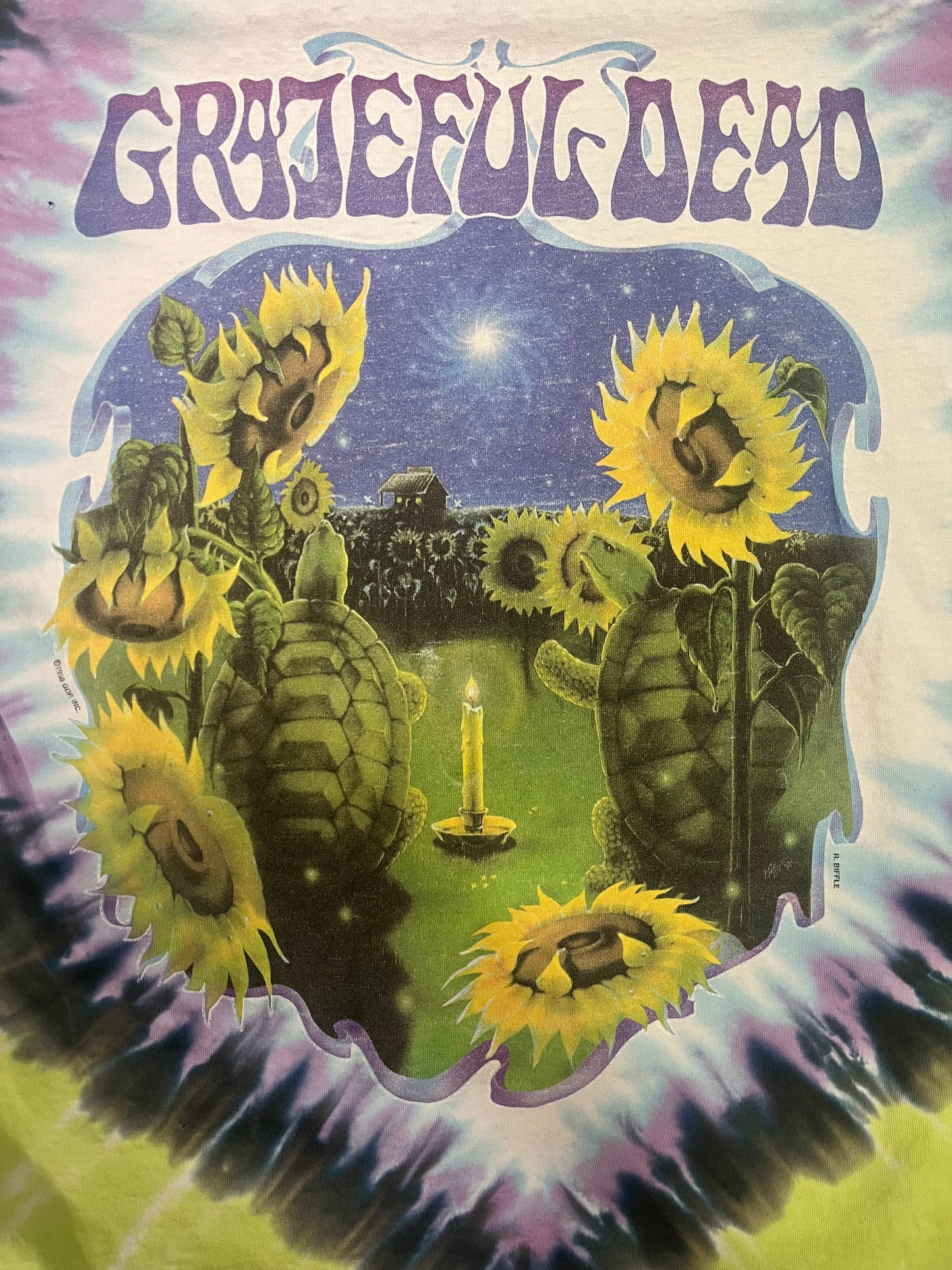 Vintage Super Rare 1995 Greatful Dead Turtles Tee