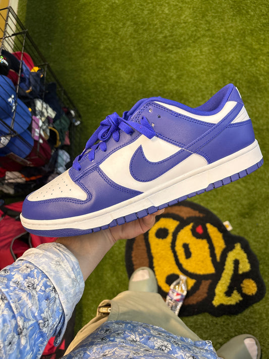 Nike dunk low Concord size 13