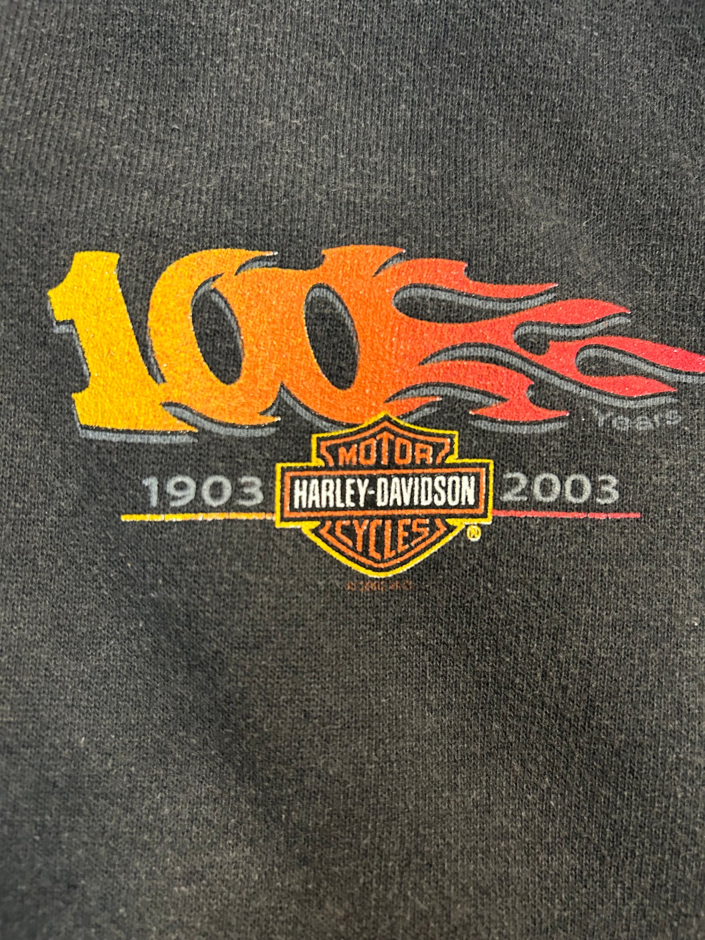 2002 Harley Davidson 100 Years Jacket