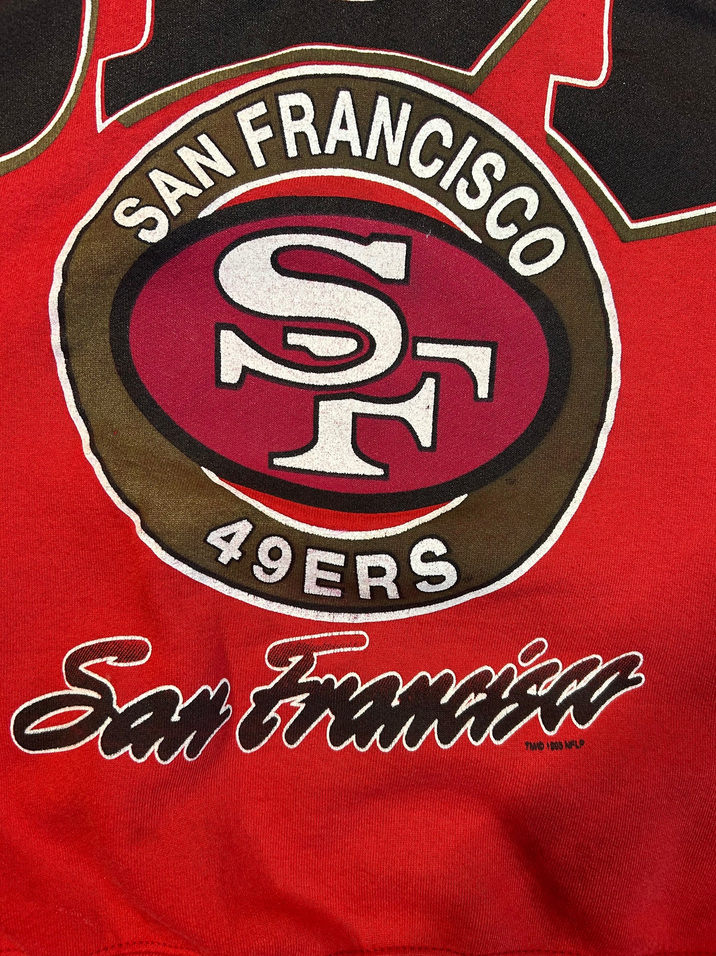 Vintage 1995 San Francisco 49ers Big Print Crewneck