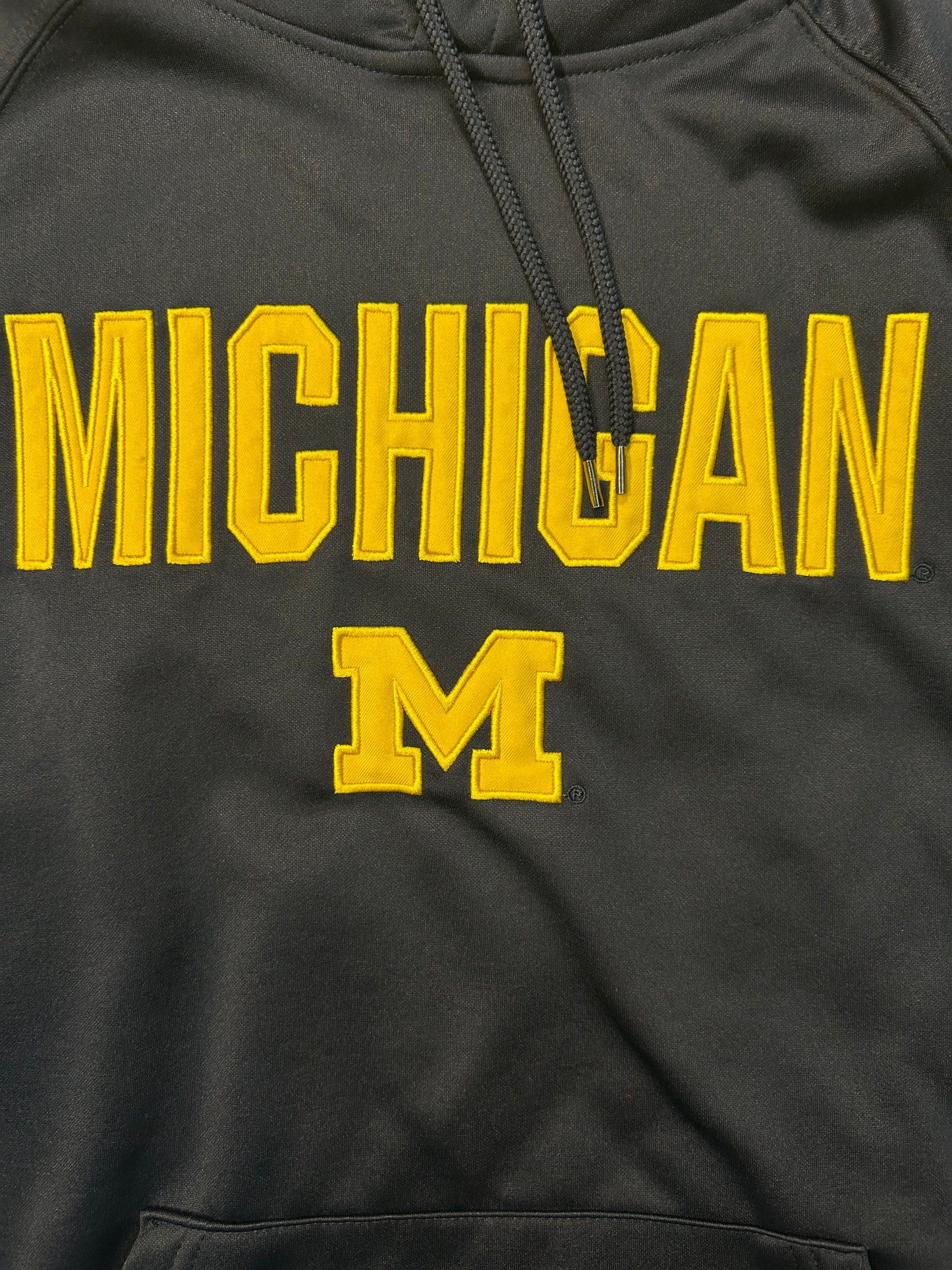 Y2K Michigan University Thermal Hoodie