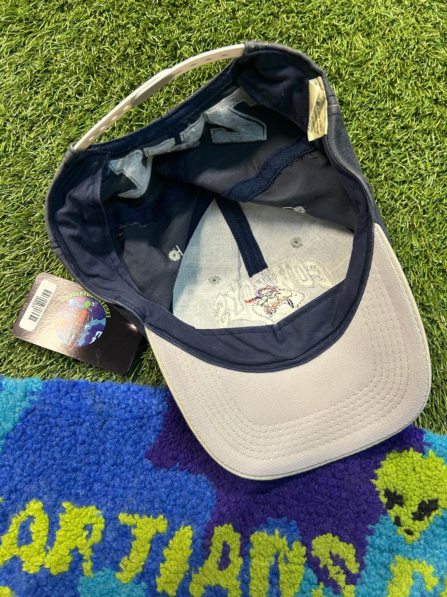 Vintage 1993 Warner Bros Tasmania Devil X Dallas Cowboys NFL SnapBack