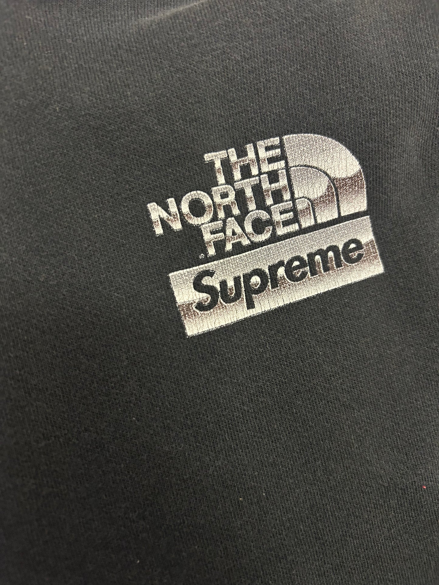 Supreme X The North Face Metallic Logo Hoodie