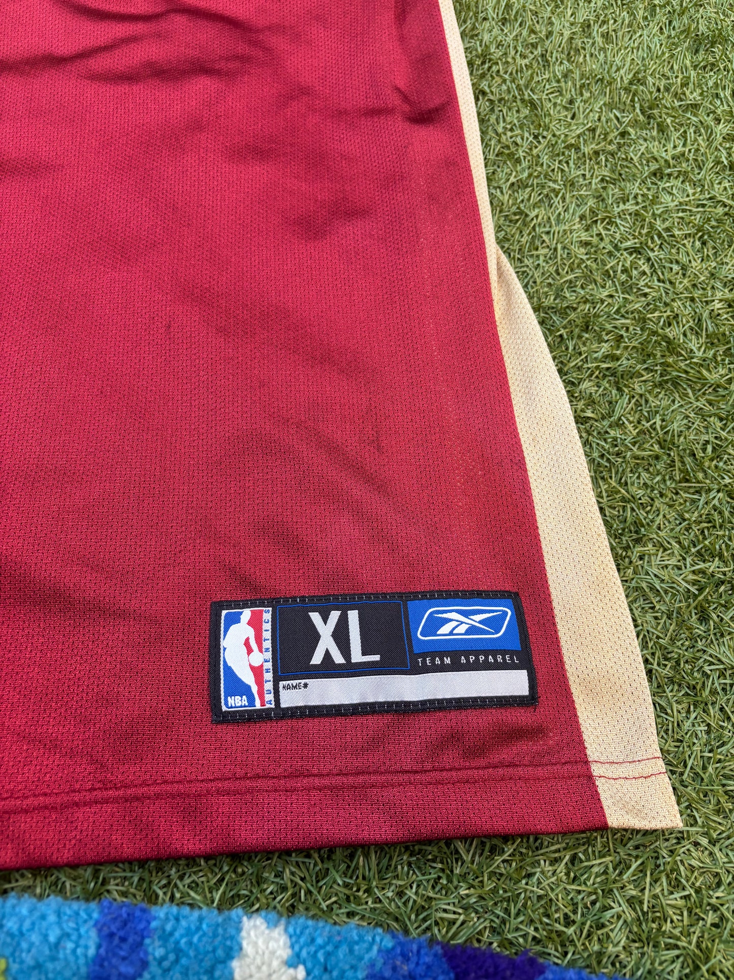 Vintage LeBron James Cleveland Cavaliers Jersey