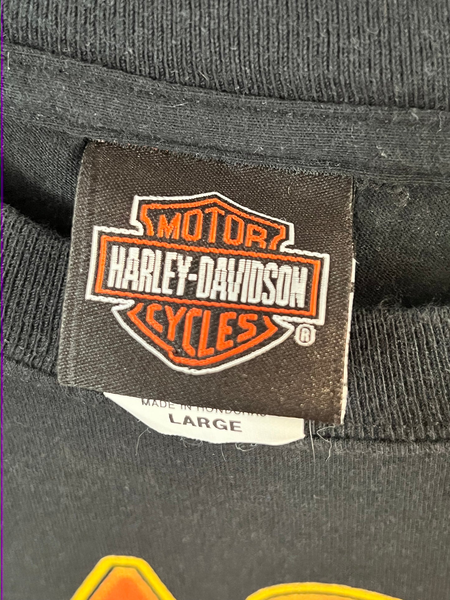 Vintage Harley Davidson “Alaska” Tee