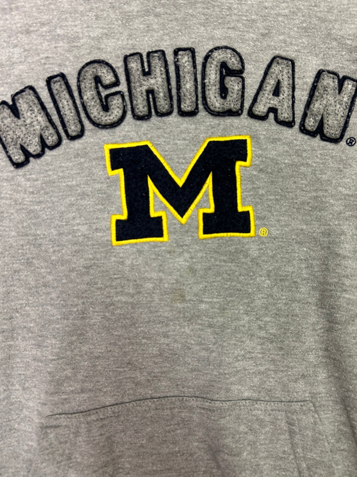 Vintage 2000s Michigan University Hoodie