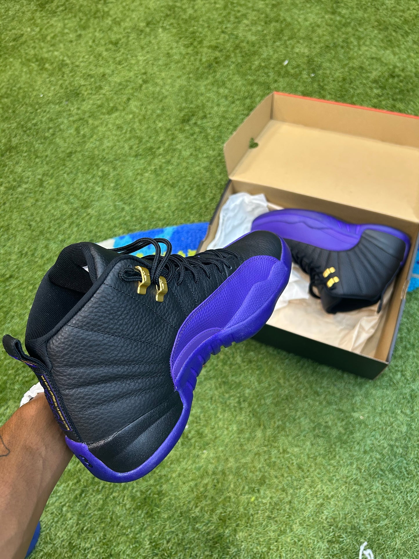 Jordan 12 Retro Field Purple(2023)