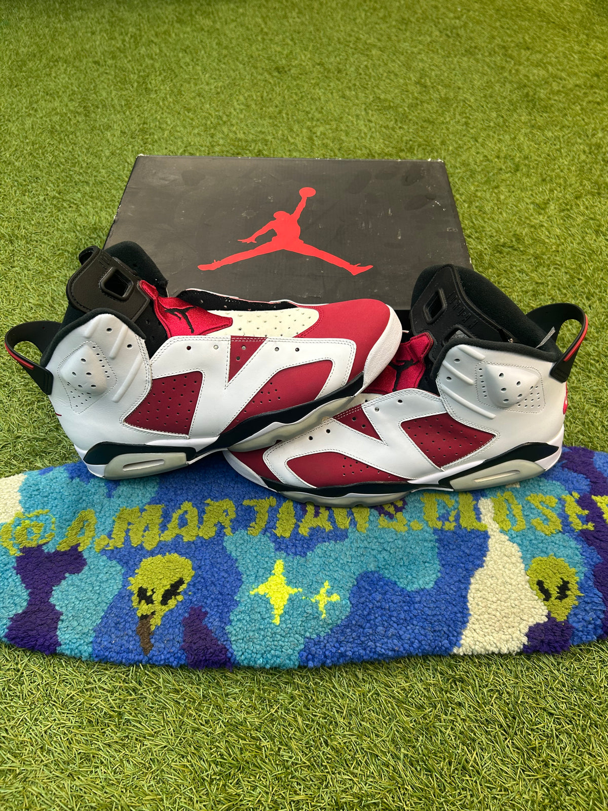 Retro Jordan 6 Carmine