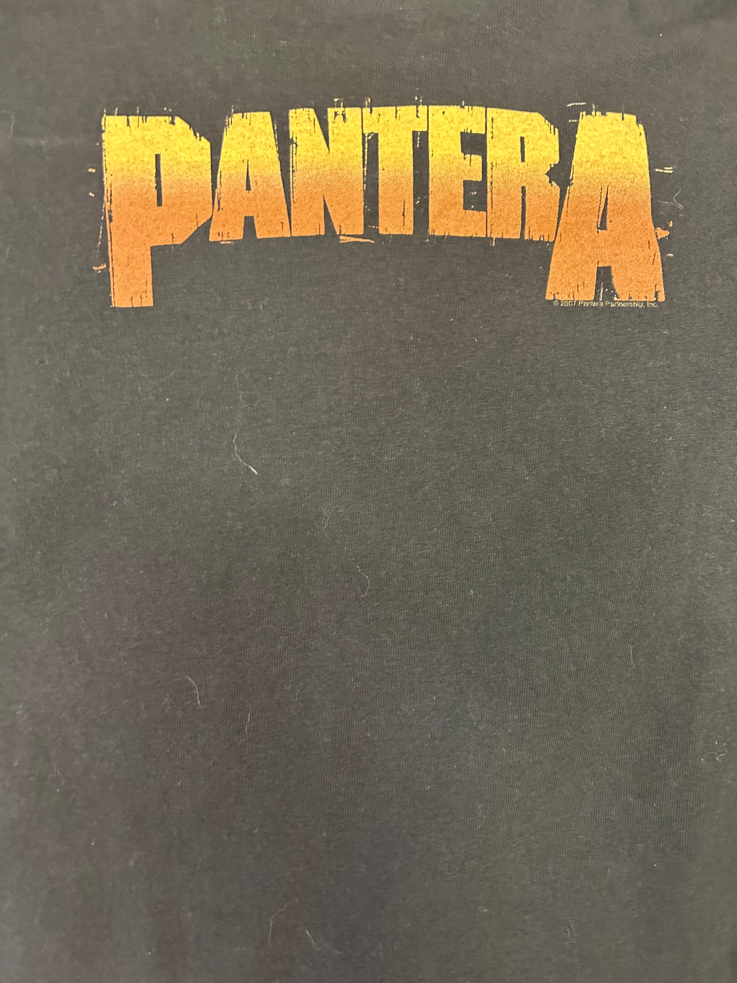 Vintage Pantera Do Not Mess With Me Band Tee