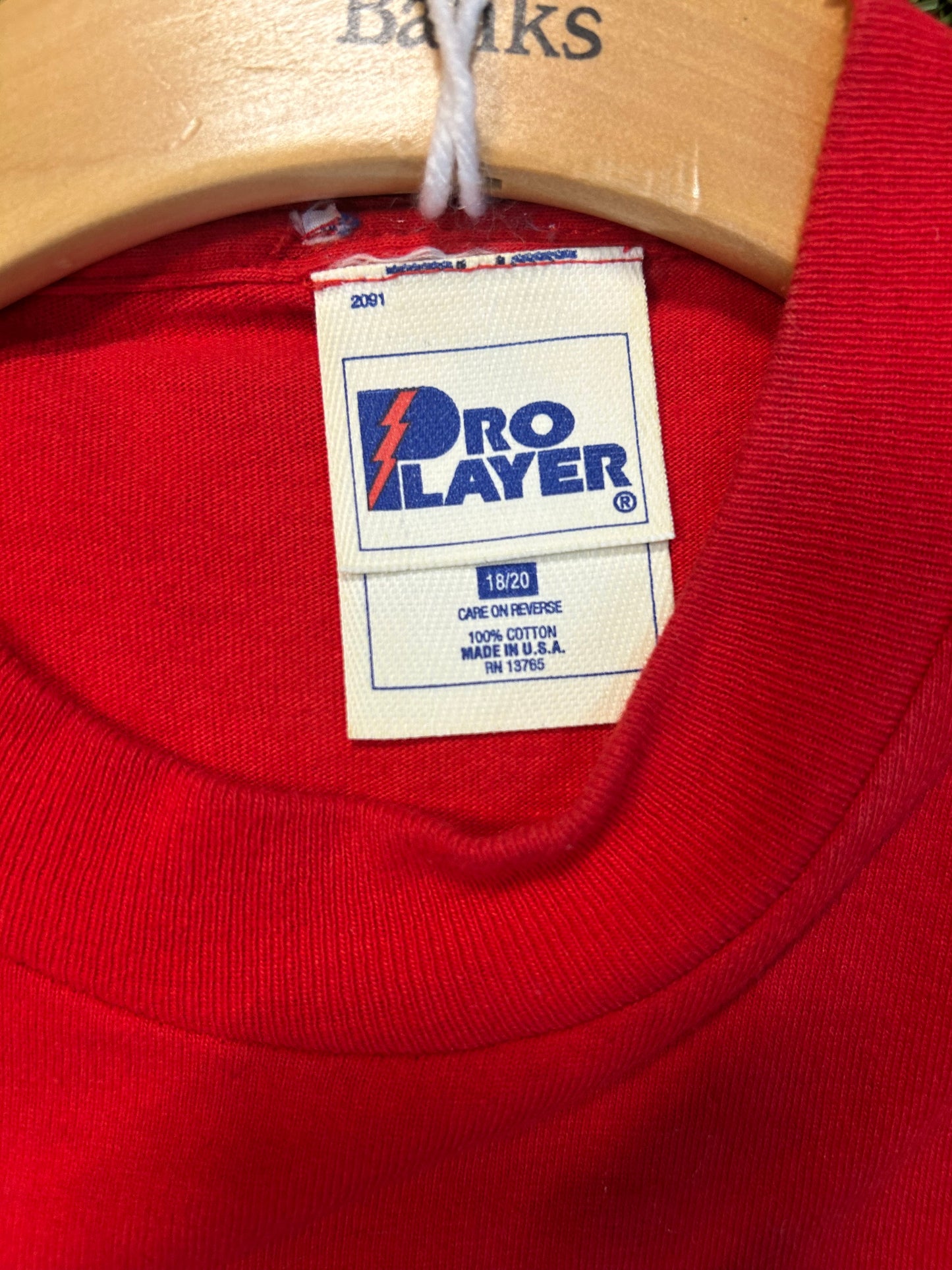 Vintage 90s Detroit Red Wings Yzerman Tee