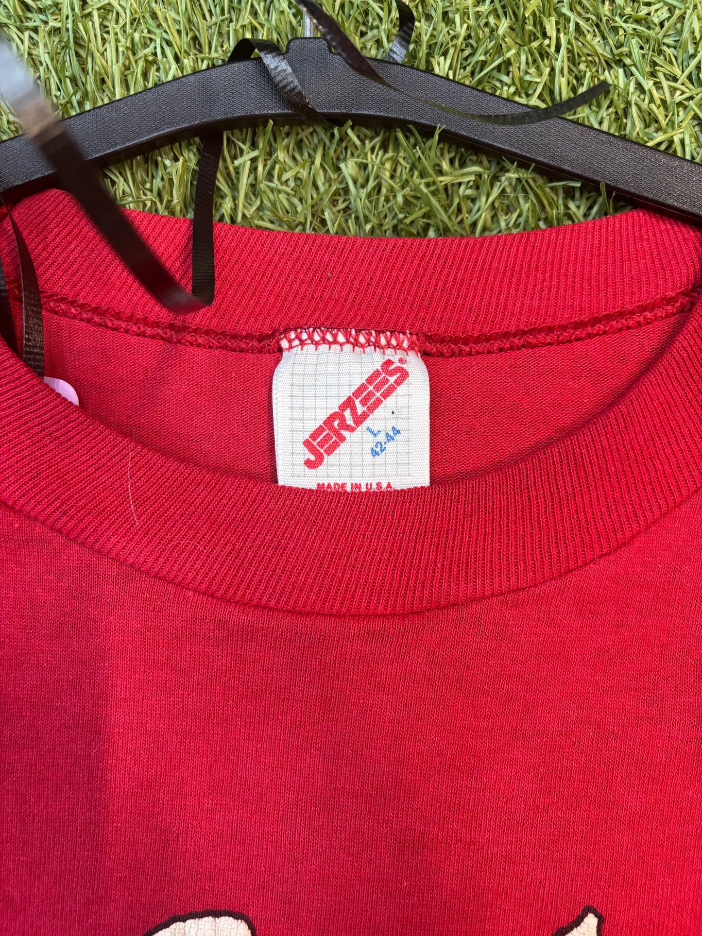Vintage Jerzees 1990 Brutus the Buckeye Graphic Tee